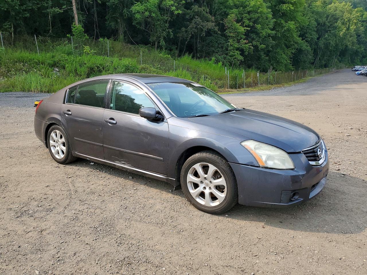 2007 Nissan Maxima 3.5 Se Gray vin: 1N4BA41E07C803655