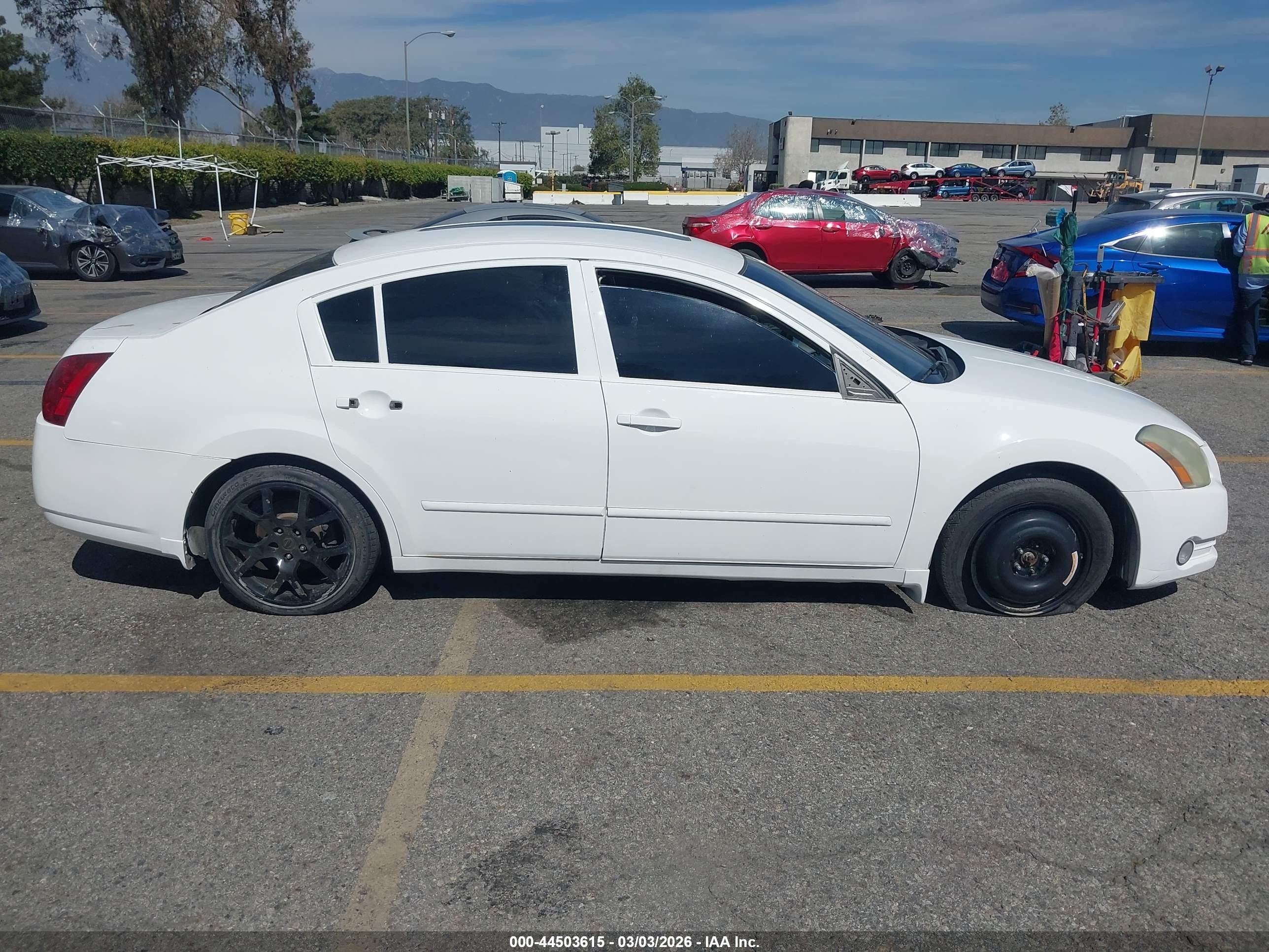 2004 Nissan Maxima 3.5 Sl White vin: 1N4BA41E14C897184