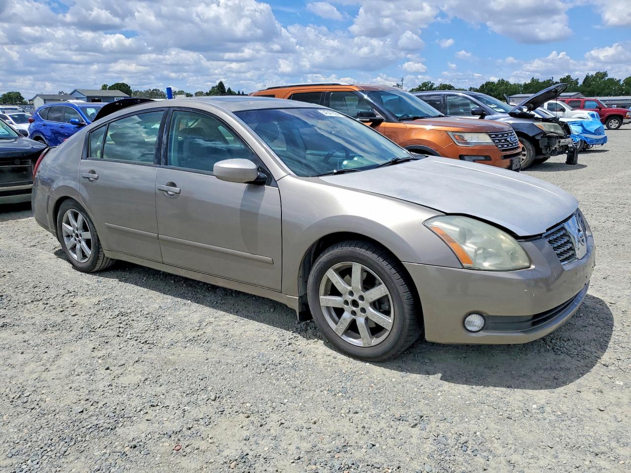 2006 Nissan Maxima 3.5 Se Tan vin: 1N4BA41E16C809950