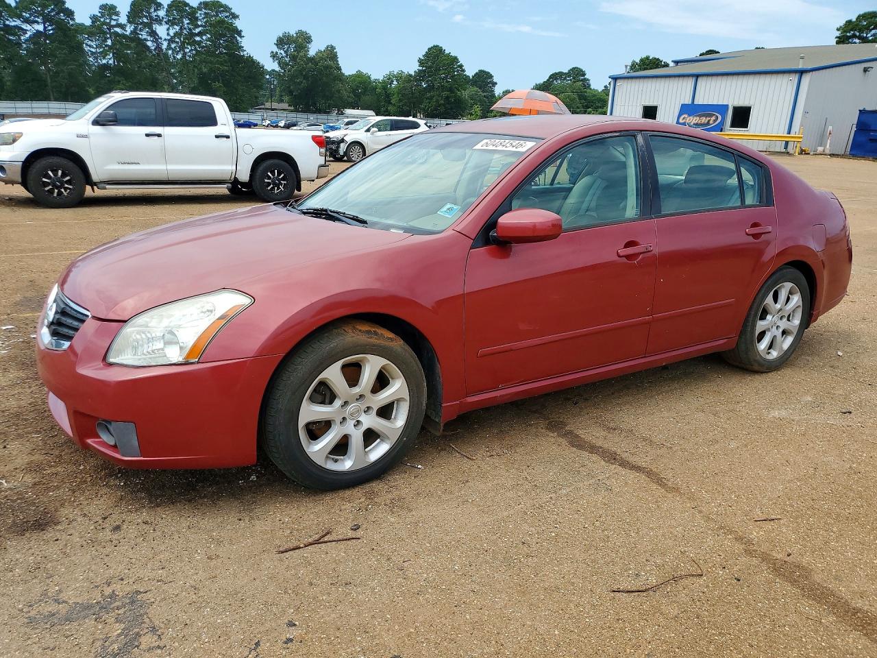 2007 Nissan Maxima Se/sl Темно-бордовый vin: 1N4BA41E17C856588