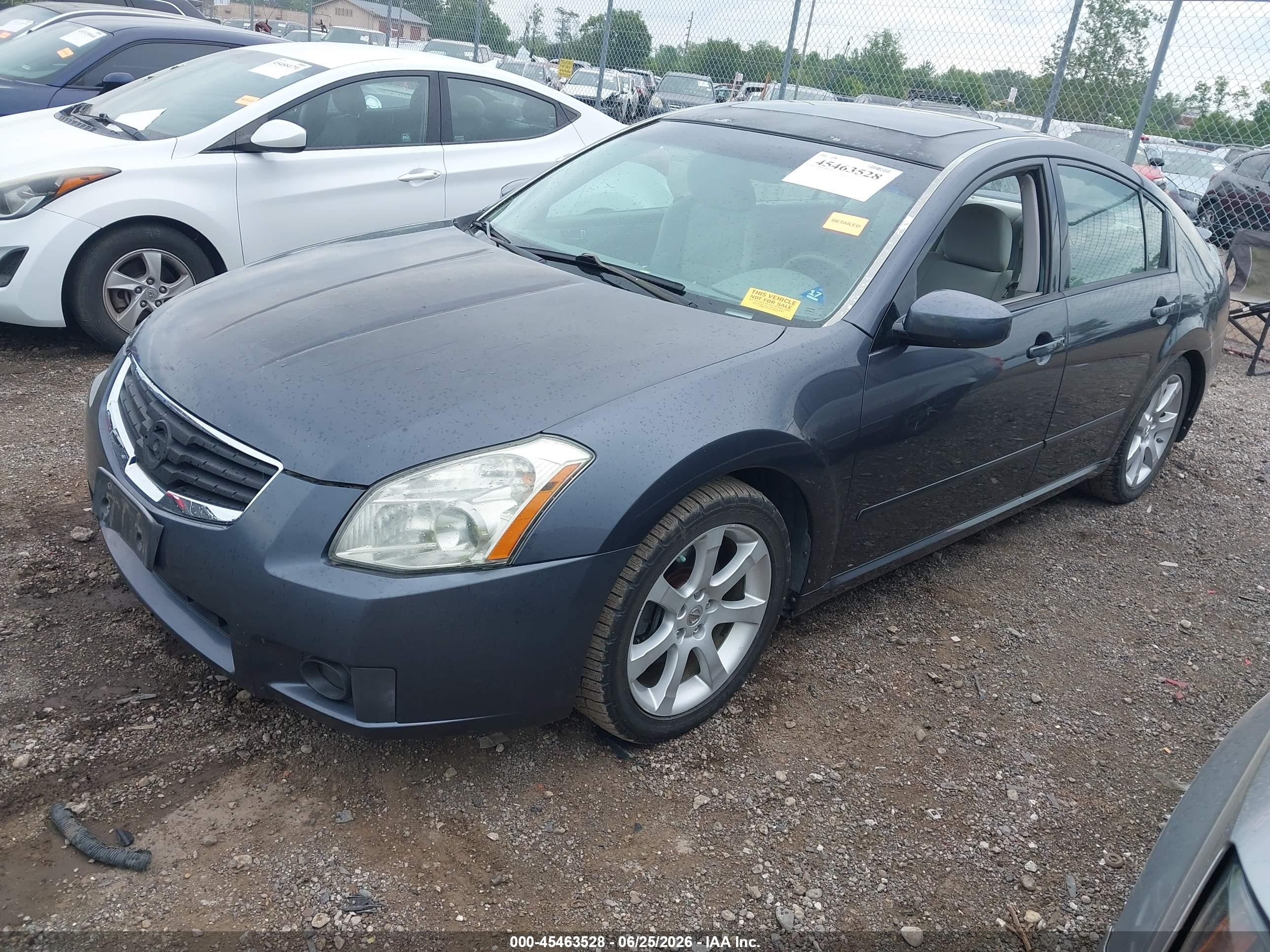 2008 Nissan Maxima 3.5 Se Gray vin: 1N4BA41E18C822135
