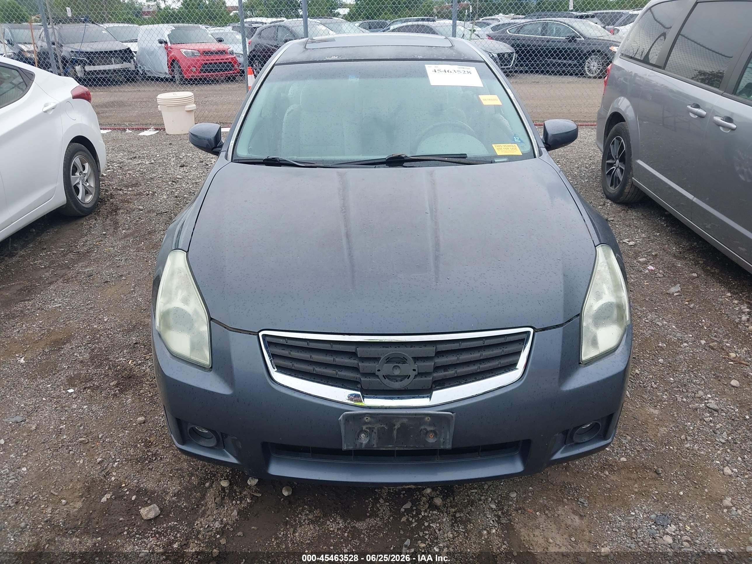 2008 Nissan Maxima 3.5 Se Gray vin: 1N4BA41E18C822135