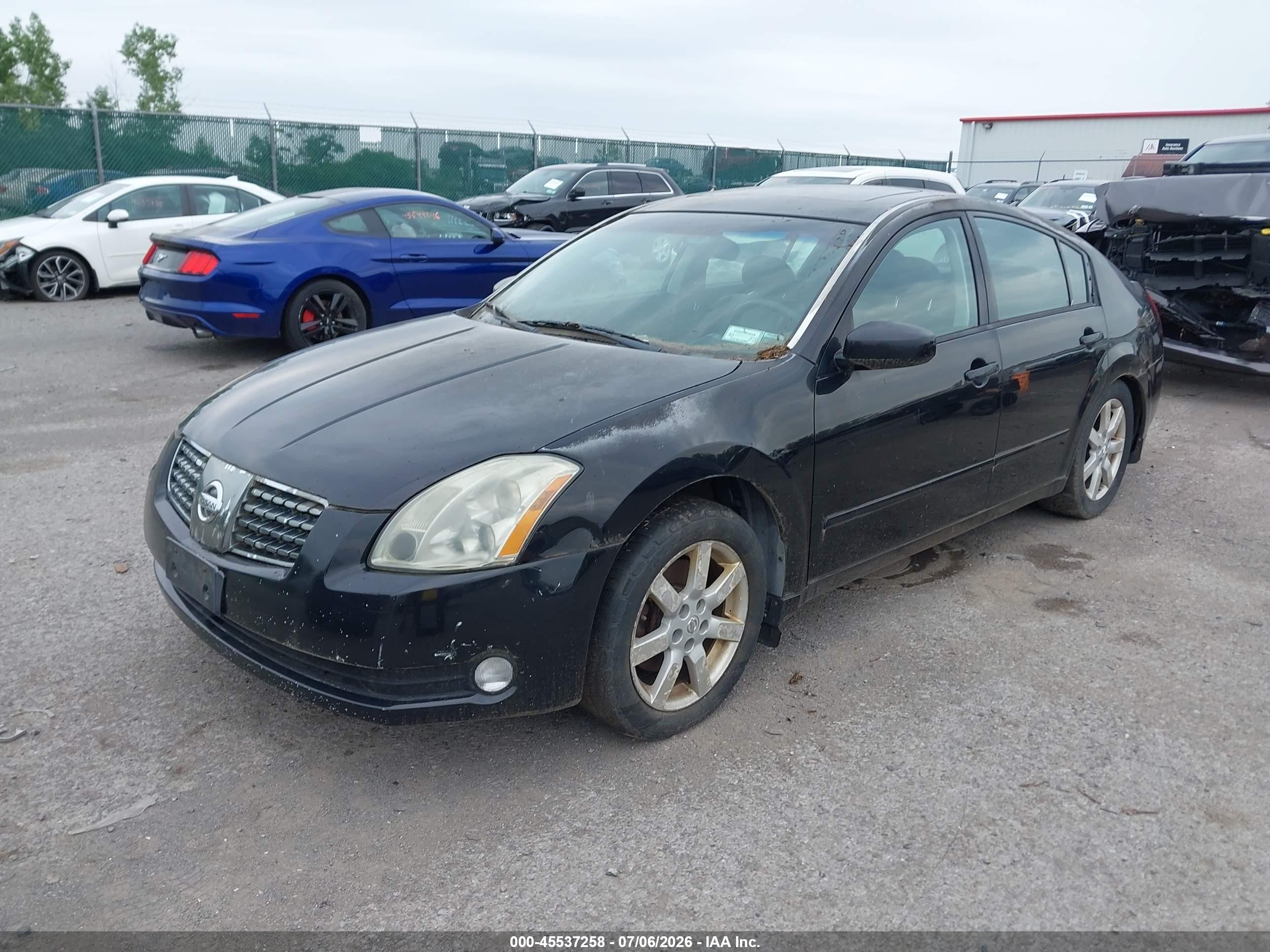 2004 Nissan Maxima 3.5 Sl Black vin: 1N4BA41E24C912789