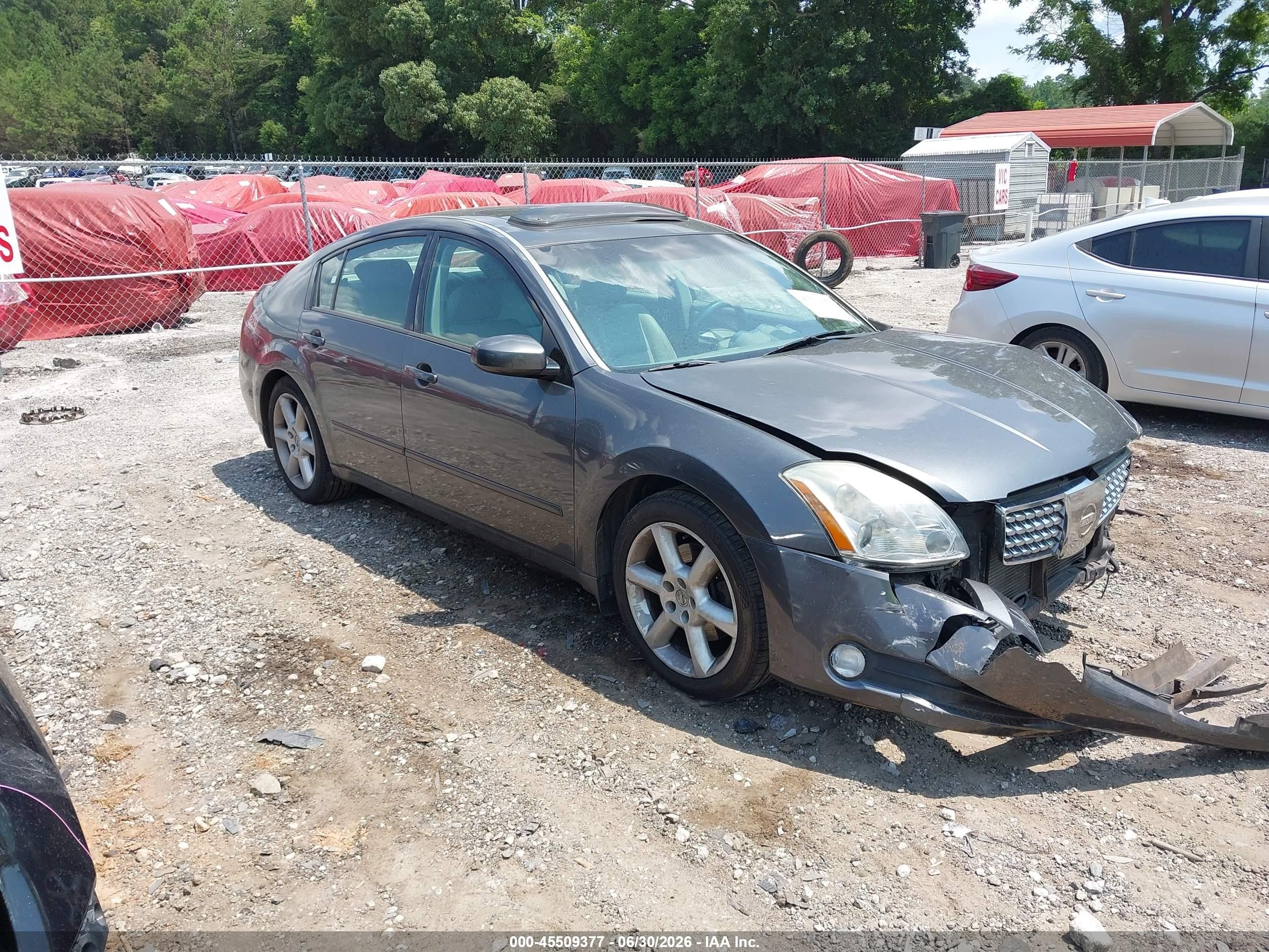 2005 Nissan Maxima 3.5 Se Gray vin: 1N4BA41E25C850361