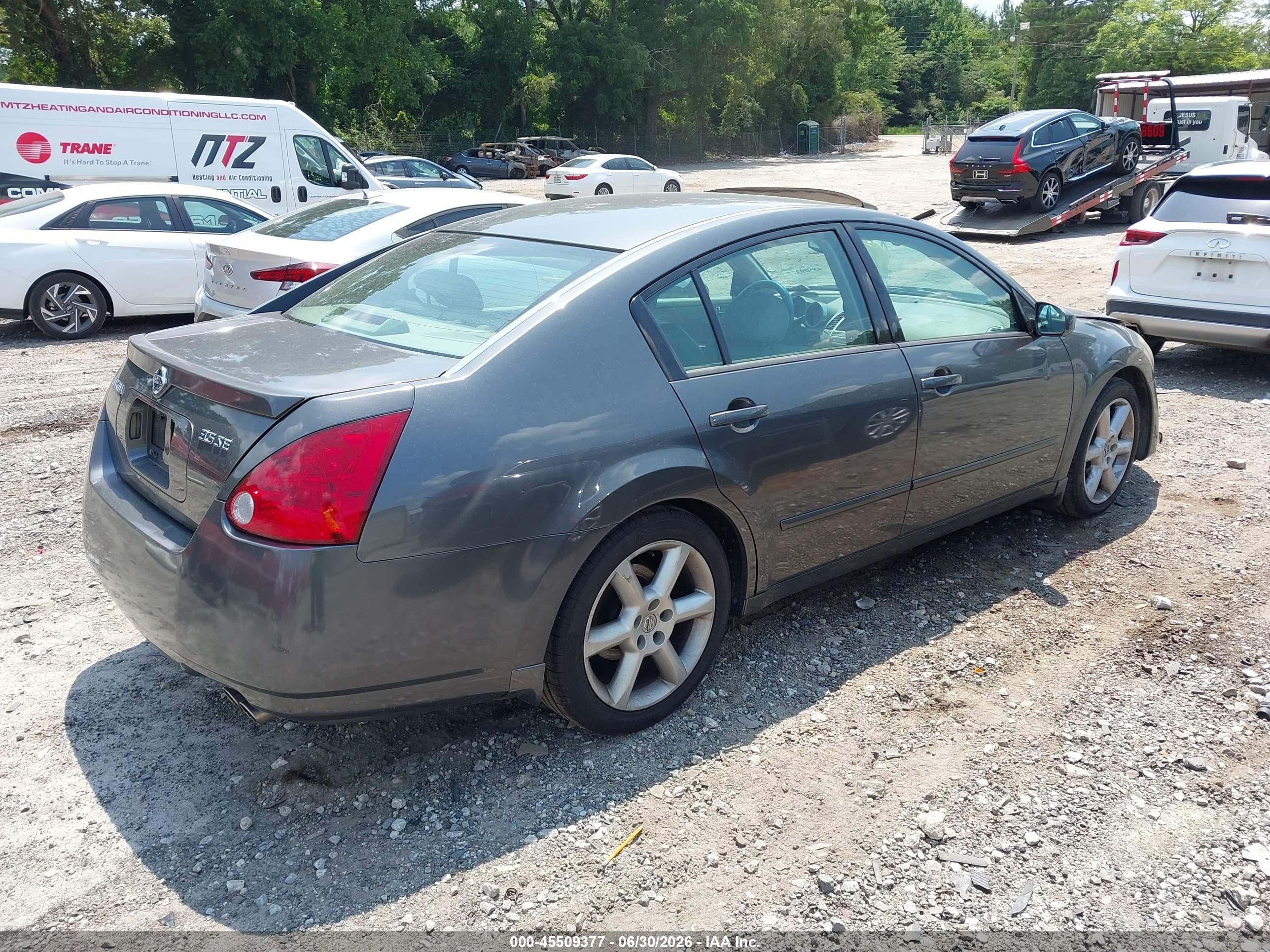 2005 Nissan Maxima 3.5 Se Gray vin: 1N4BA41E25C850361