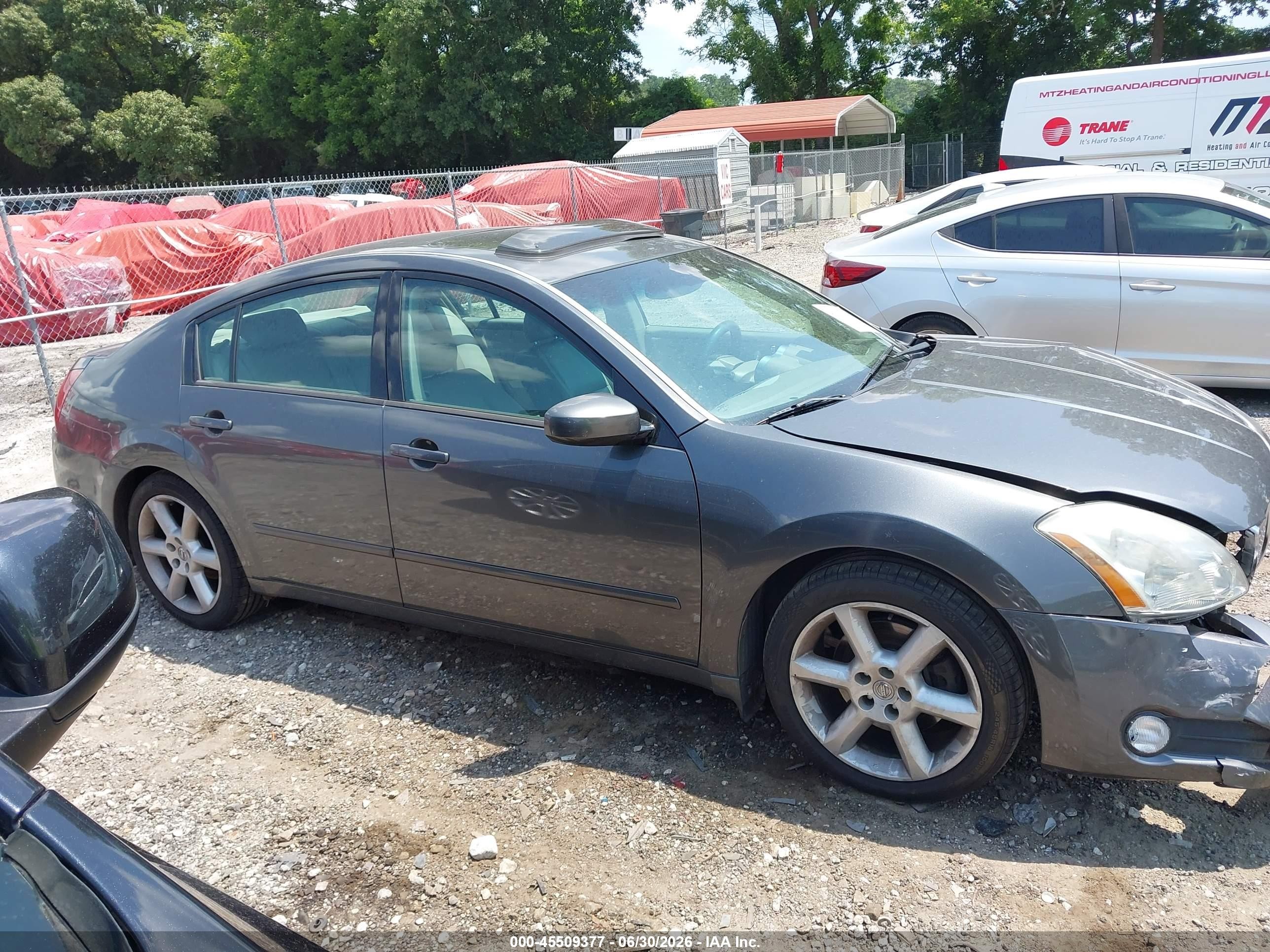 2005 Nissan Maxima 3.5 Se Gray vin: 1N4BA41E25C850361