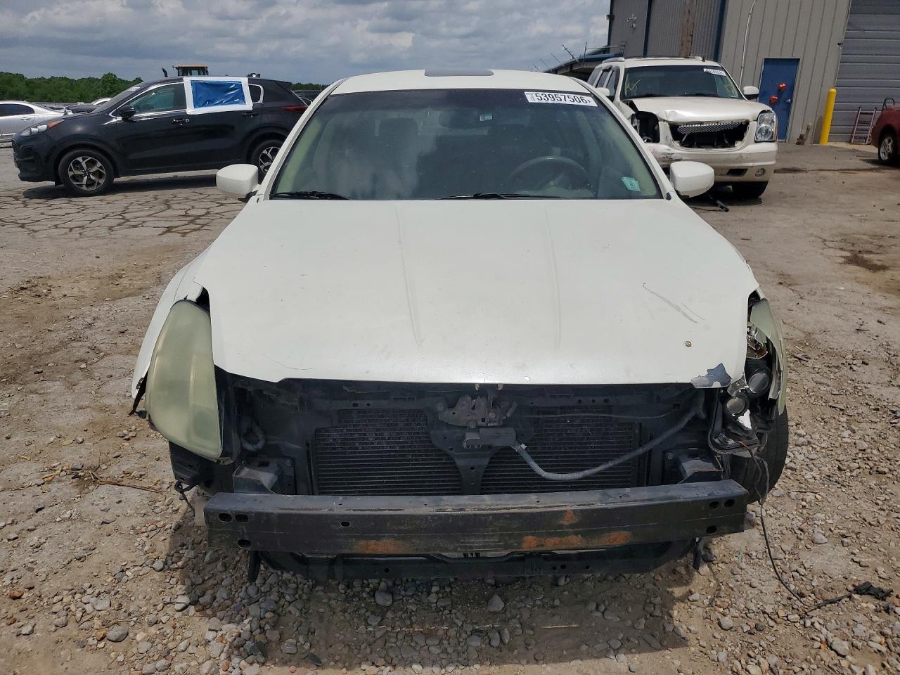 2004 Nissan Maxima 3.5 Se White vin: 1N4BA41E34C855373