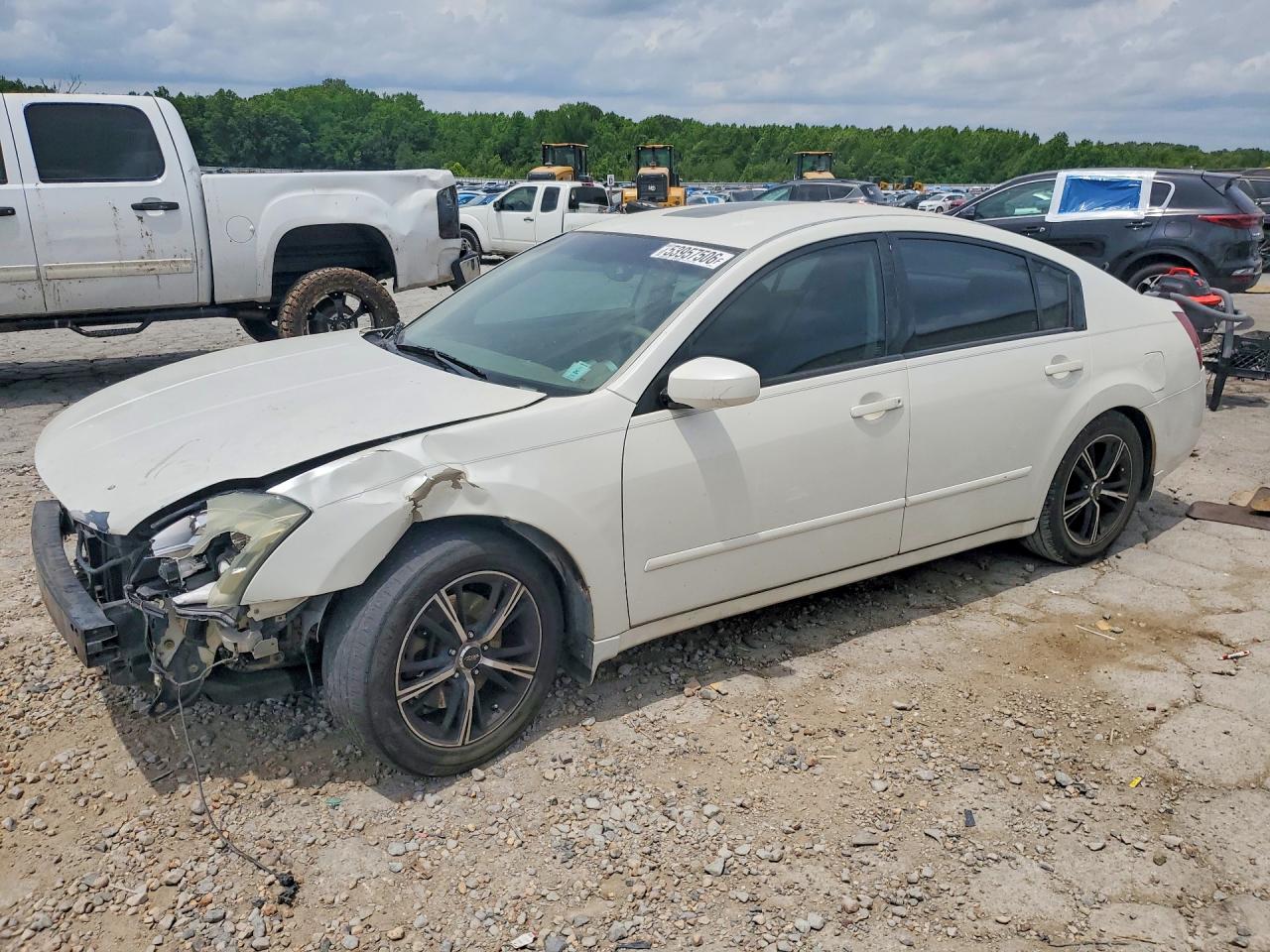 2004 Nissan Maxima 3.5 Se White vin: 1N4BA41E34C855373