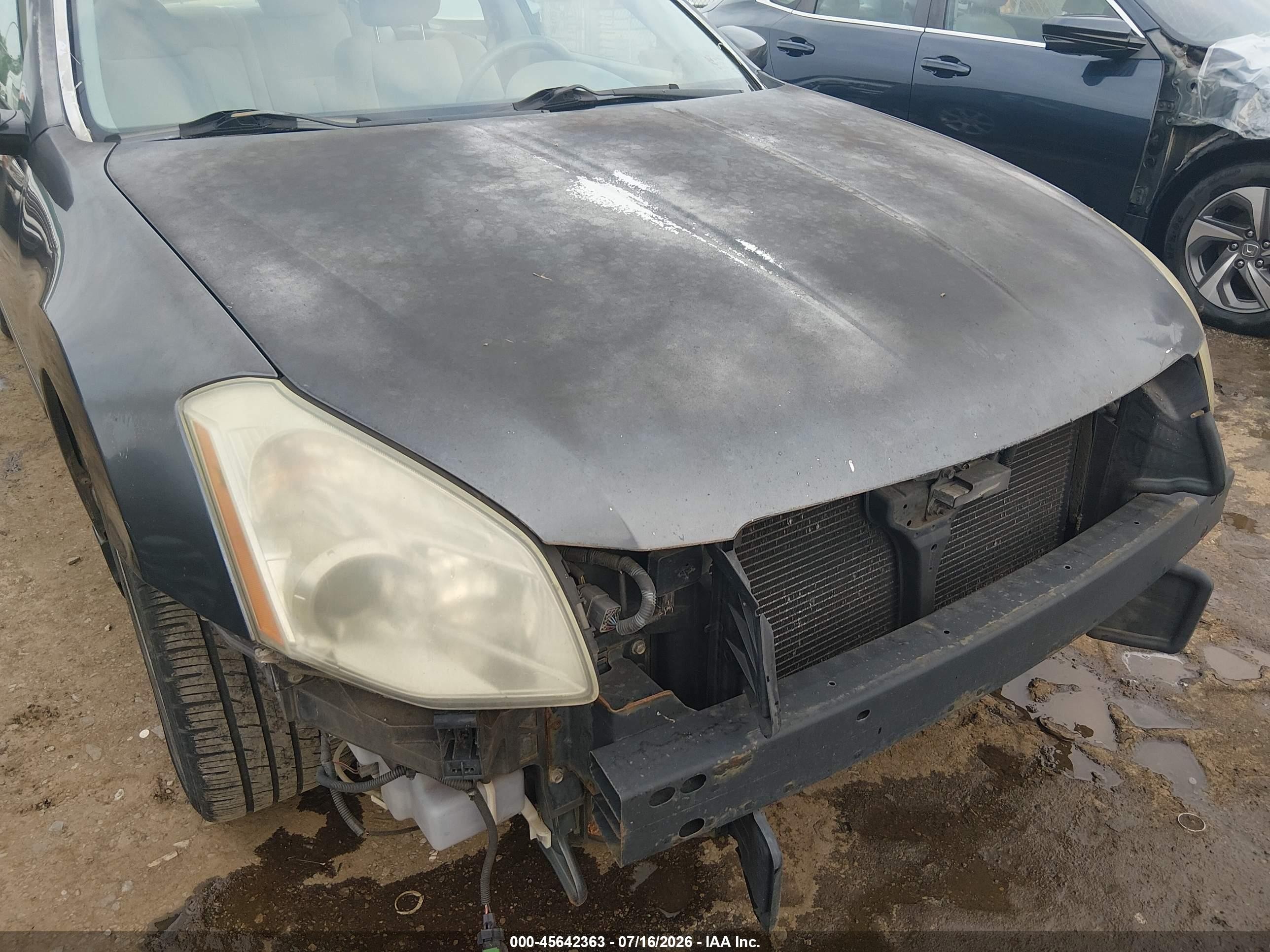 2007 Nissan Maxima 3.5 Se Gray vin: 1N4BA41E37C809448
