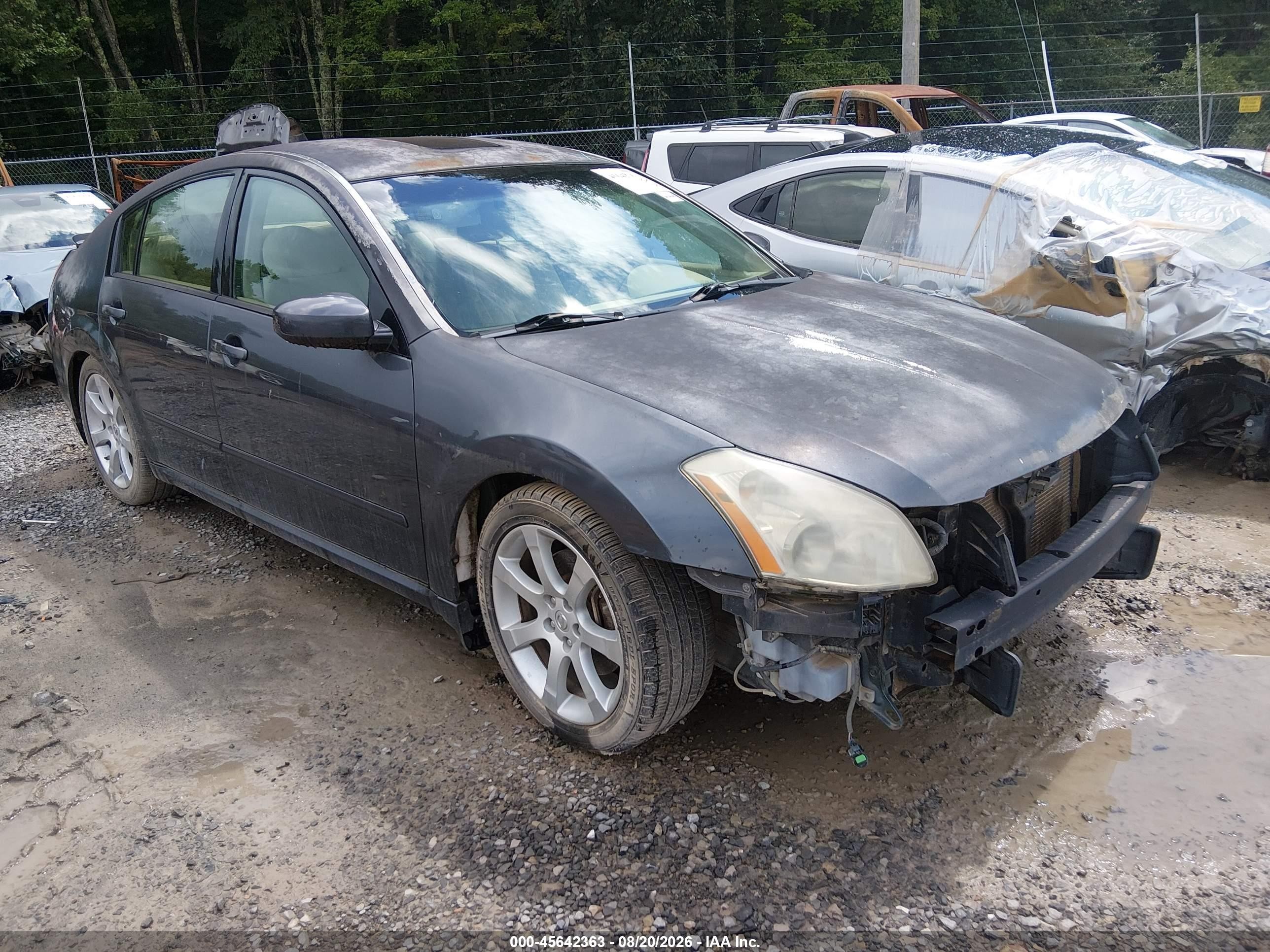 2007 Nissan Maxima 3.5 Se Gray vin: 1N4BA41E37C809448