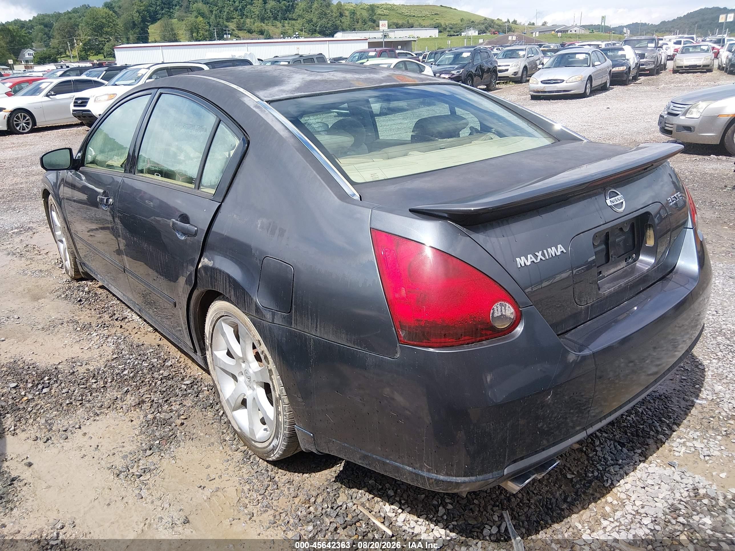 2007 Nissan Maxima 3.5 Se Gray vin: 1N4BA41E37C809448