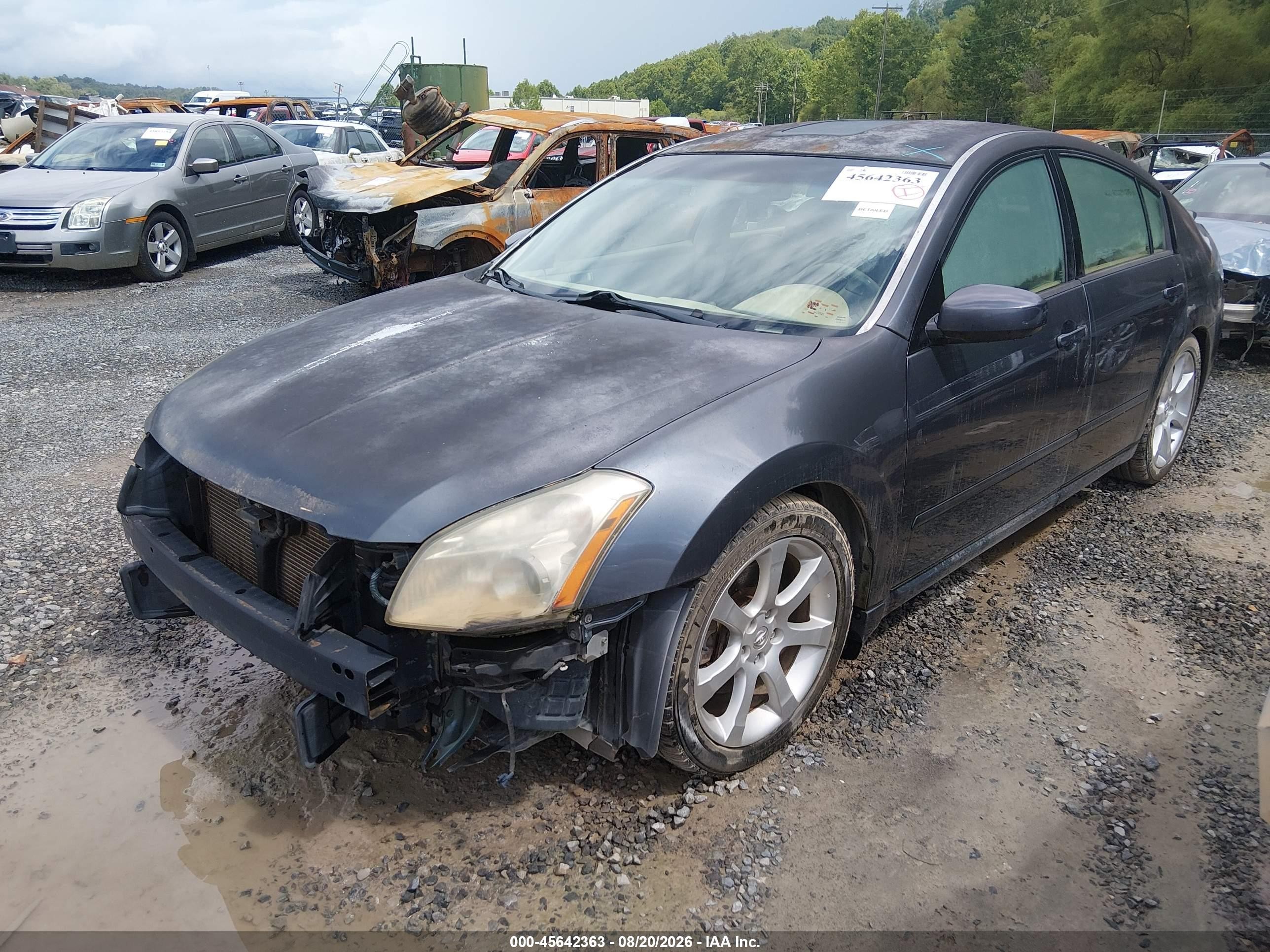 2007 Nissan Maxima 3.5 Se Gray vin: 1N4BA41E37C809448