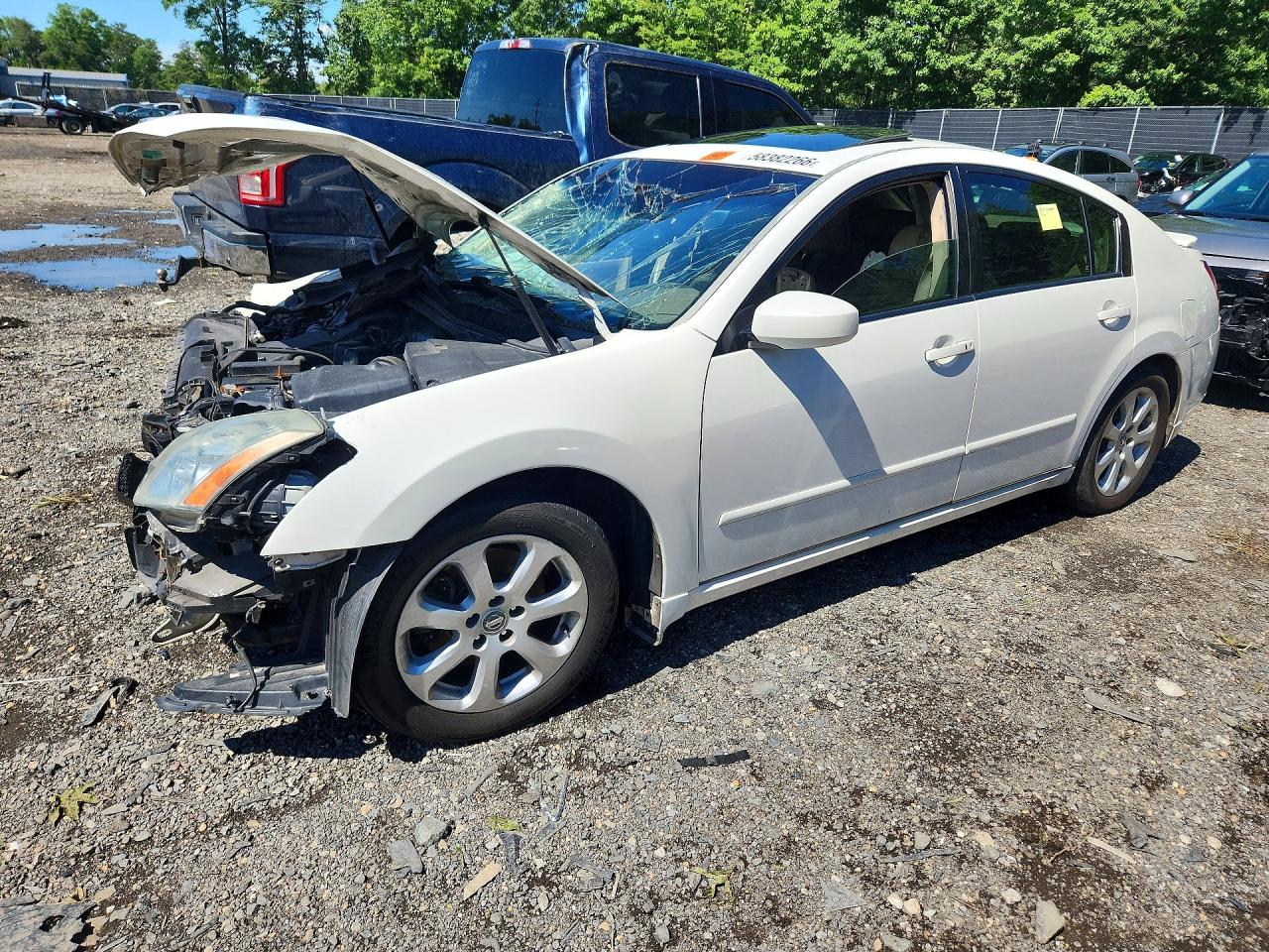 2007 Nissan Maxima 3.5 Se White vin: 1N4BA41E37C860285