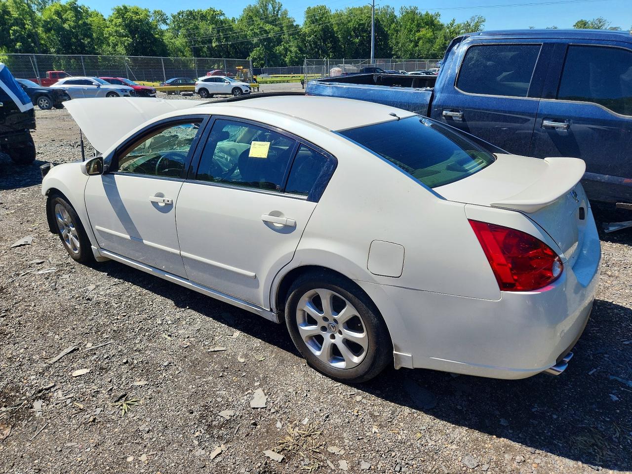 2007 Nissan Maxima 3.5 Se White vin: 1N4BA41E37C860285