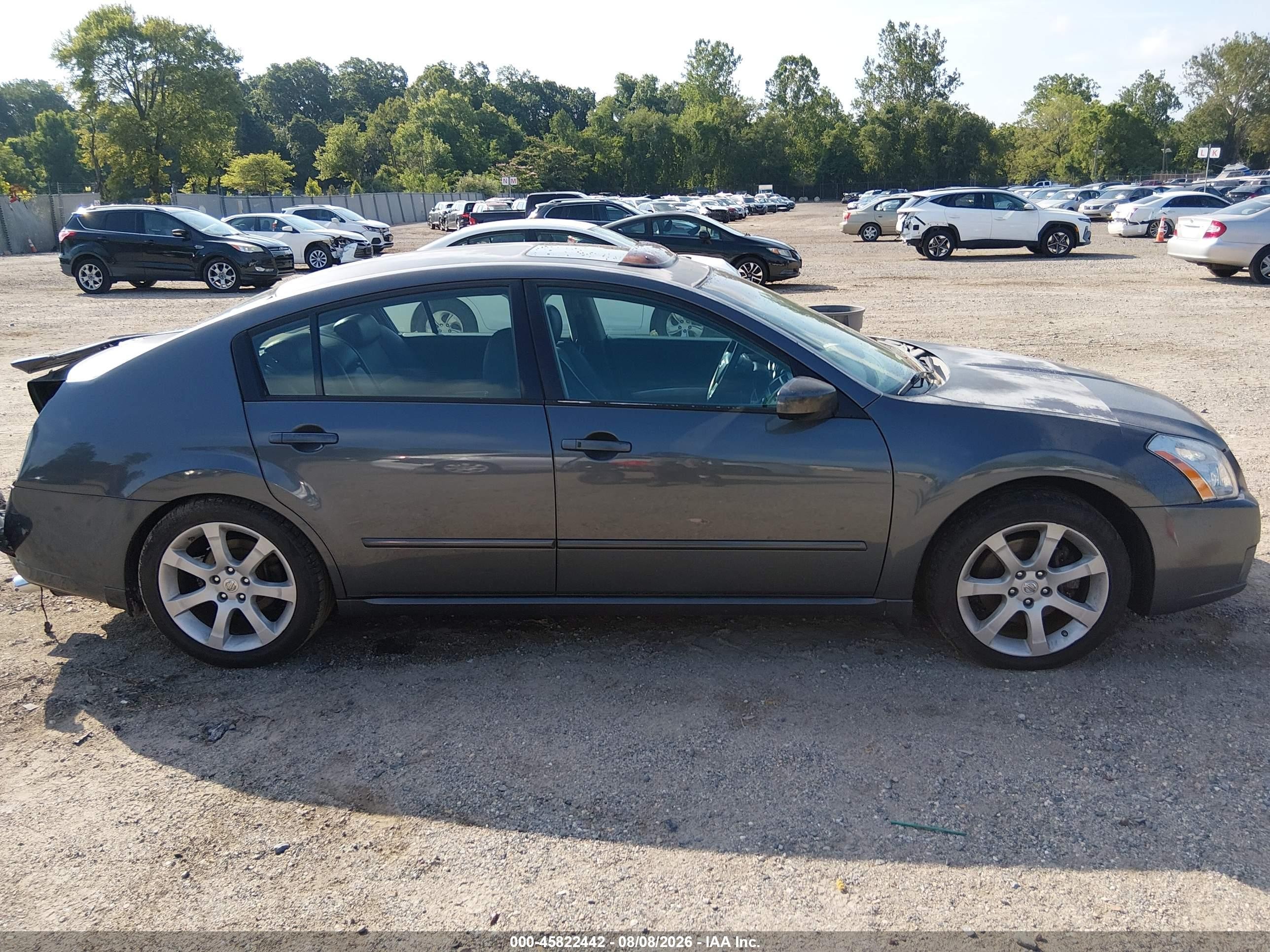 2007 Nissan Maxima 3.5 Se Gray vin: 1N4BA41E37C863266