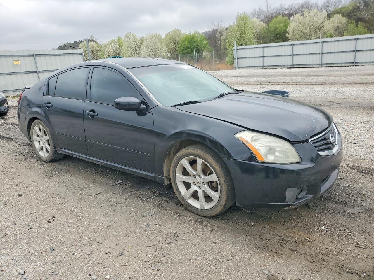 2008 Nissan Maxima 3.5 Se Black vin: 1N4BA41E38C802226