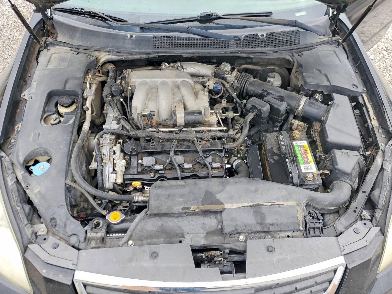 2008 Nissan Maxima 3.5 Se Black vin: 1N4BA41E38C802226