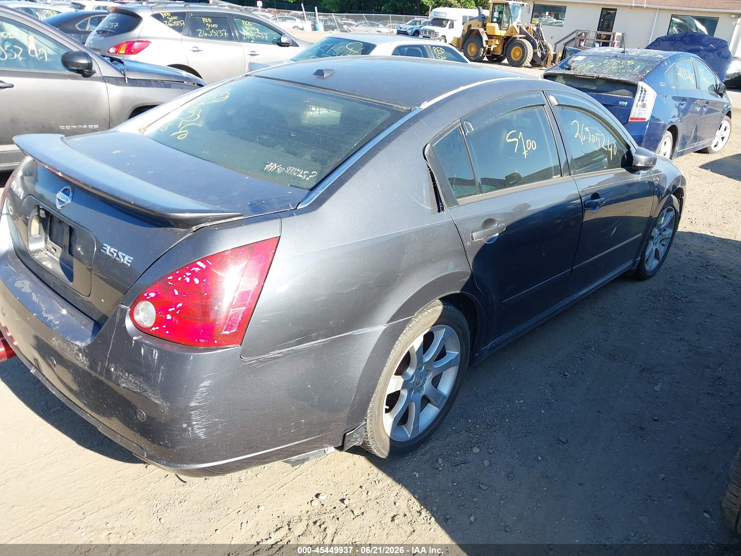 2008 Nissan Maxima 3.5 Se Gray vin: 1N4BA41E38C806146
