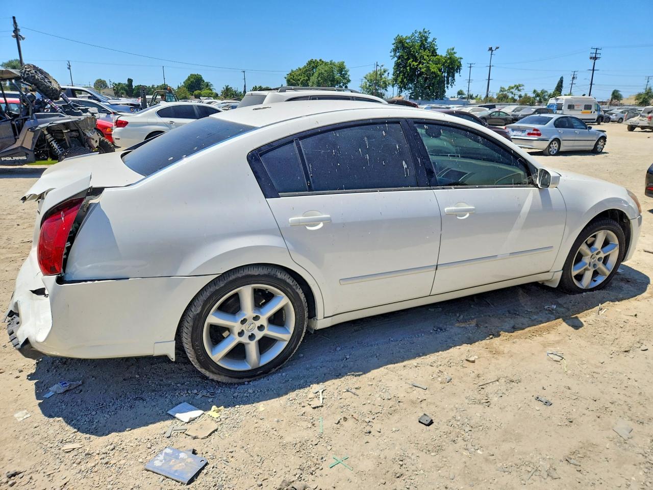 2004 Nissan Maxima 3.5 Se Белый vin: 1N4BA41E44C819885