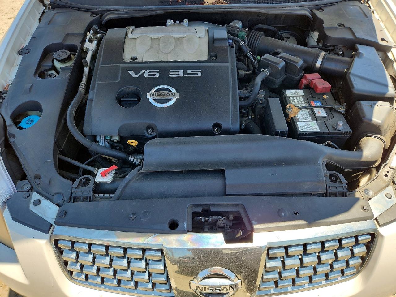 2004 Nissan Maxima 3.5 Se Белый vin: 1N4BA41E44C819885