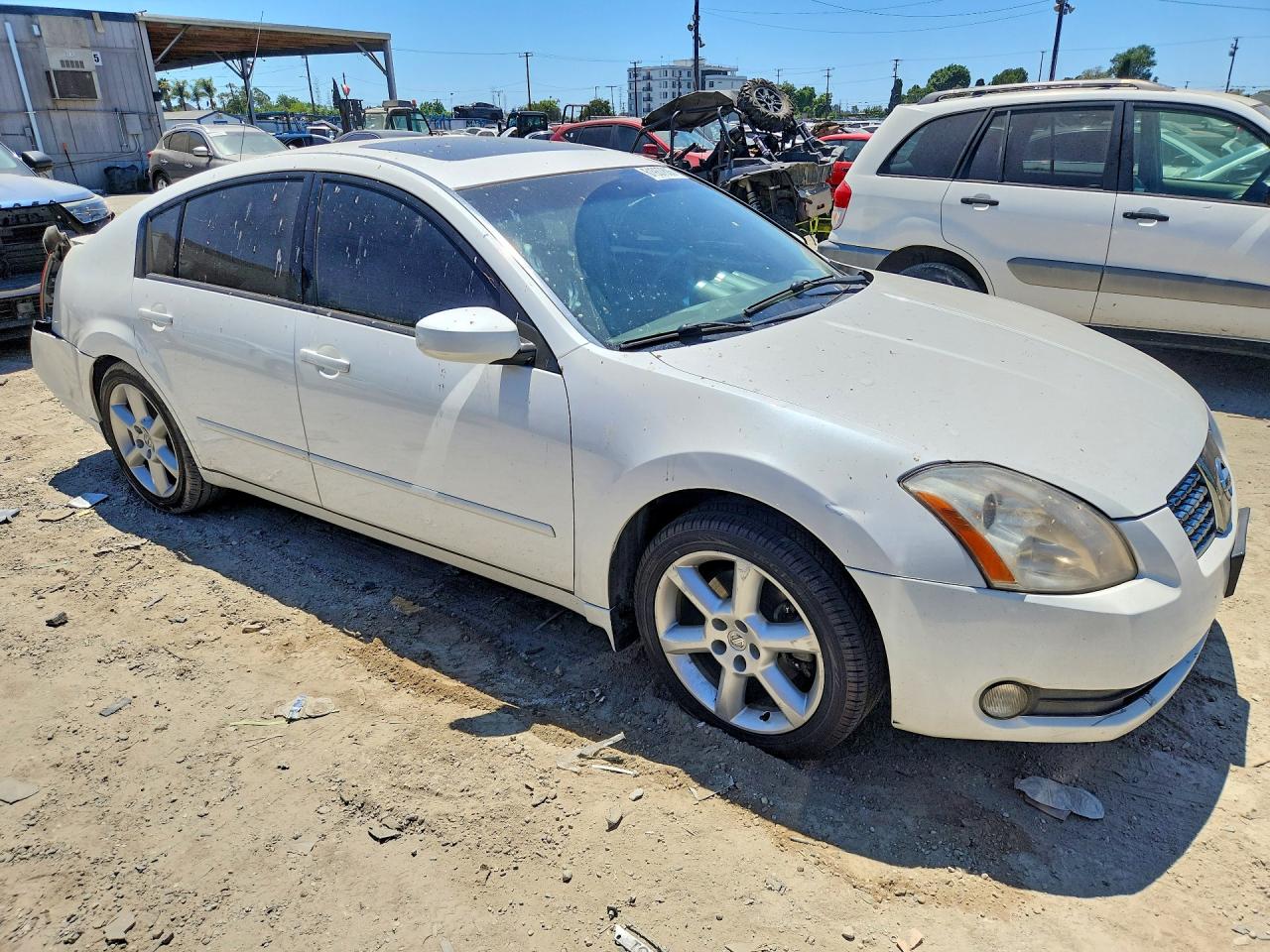 2004 Nissan Maxima 3.5 Se Белый vin: 1N4BA41E44C819885