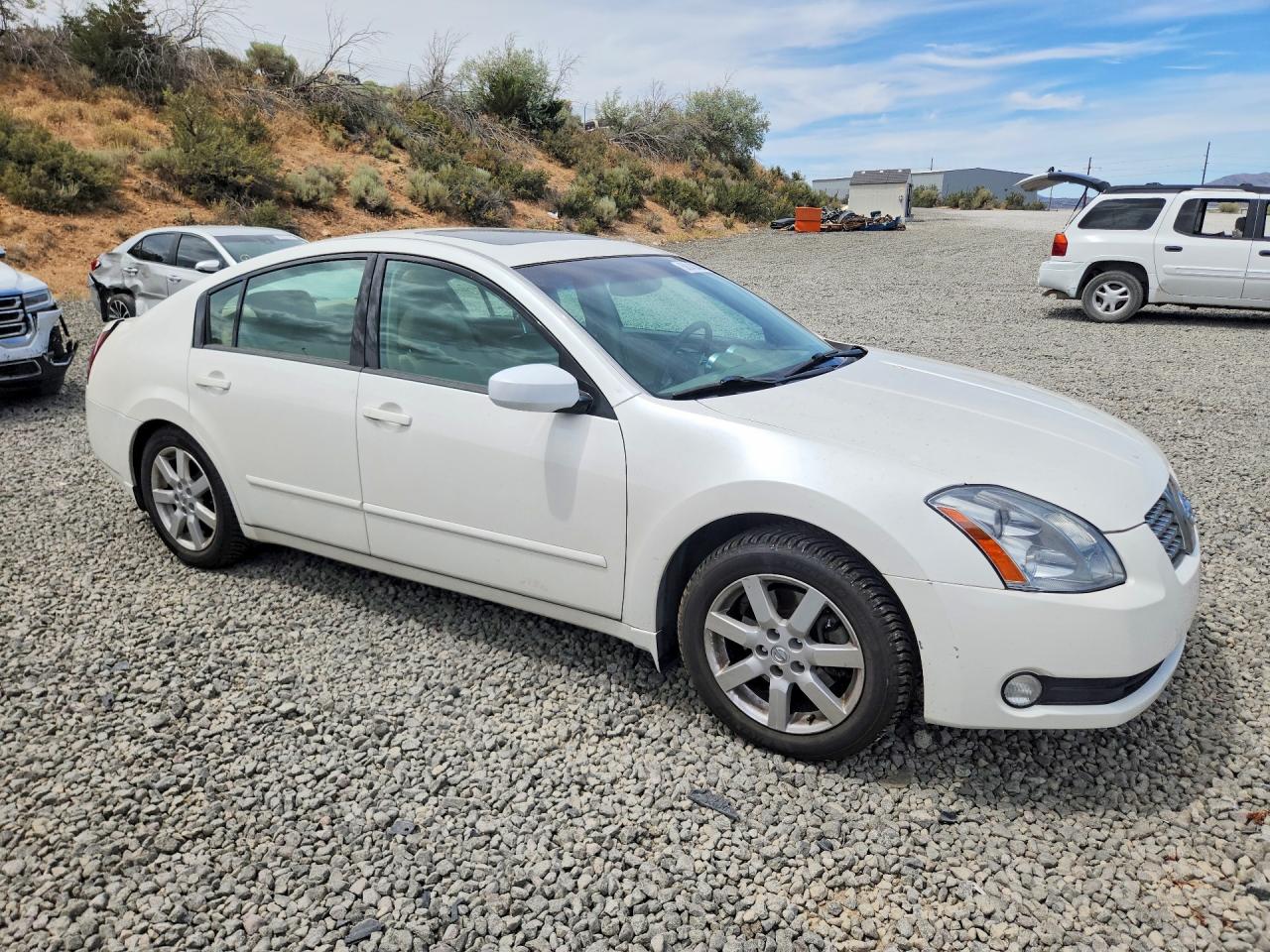 2004 Nissan Maxima 3.5 Se White vin: 1N4BA41E44C855382