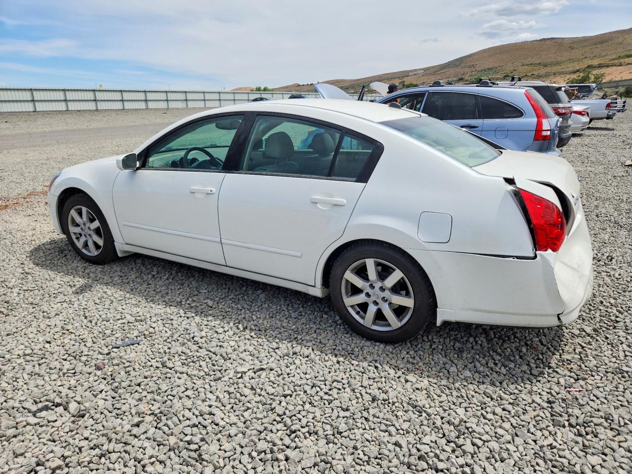 2004 Nissan Maxima 3.5 Se White vin: 1N4BA41E44C855382