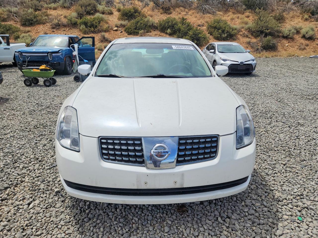 2004 Nissan Maxima 3.5 Se White vin: 1N4BA41E44C855382