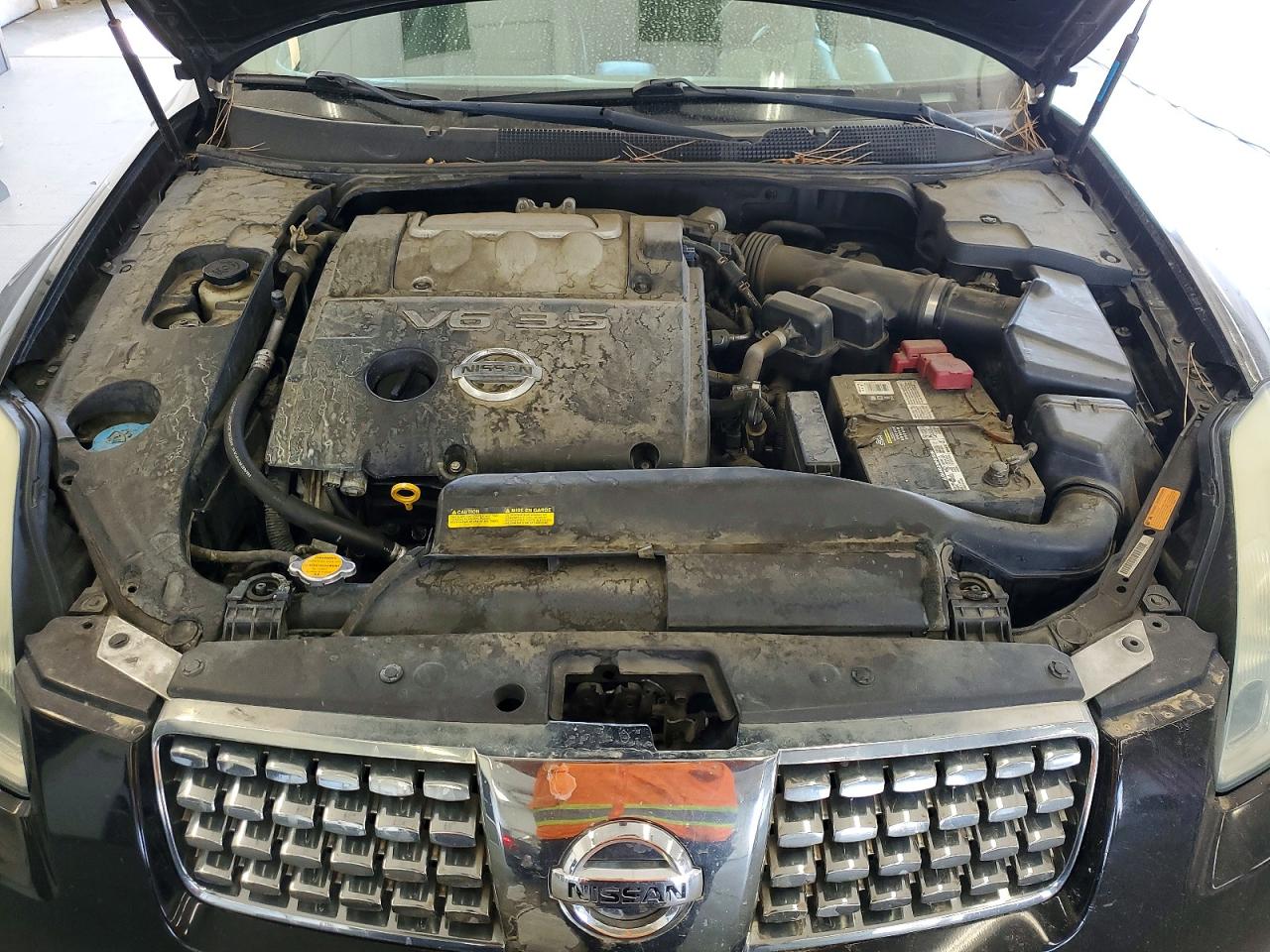 2004 Nissan Maxima 3.5 Se Черный vin: 1N4BA41E44C871226