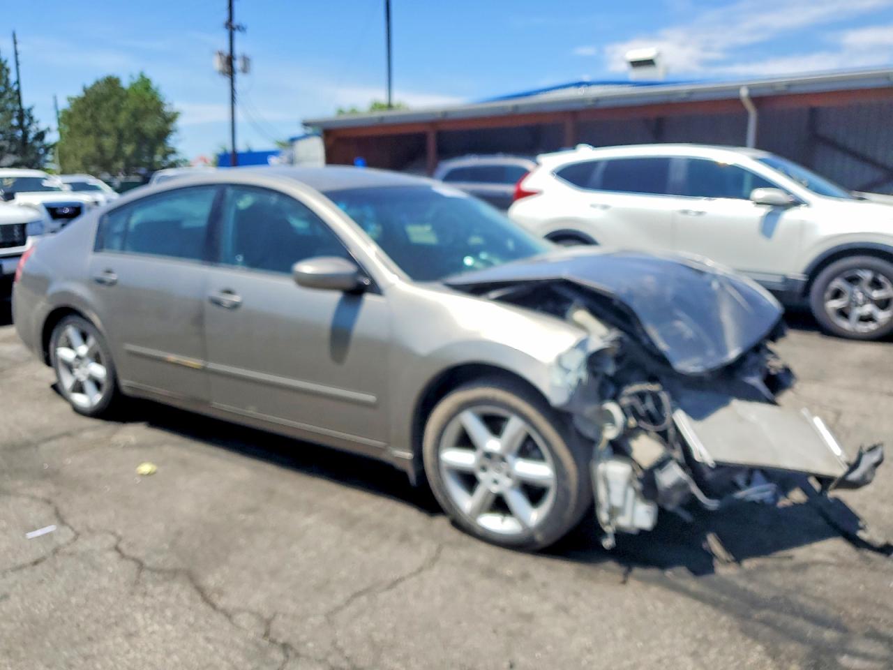 2004 Nissan Maxima 3.5 Se Gray vin: 1N4BA41E44C890424