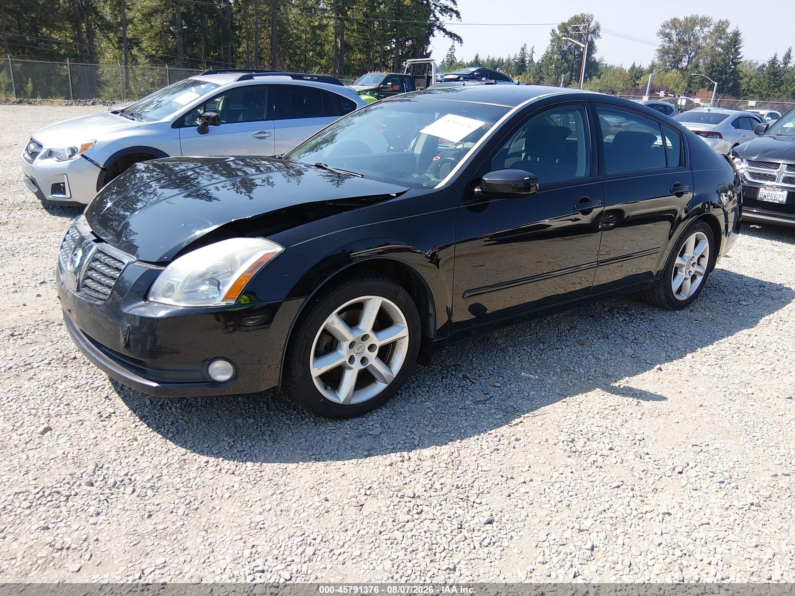 2005 Nissan Maxima 3.5 Se Black vin: 1N4BA41E45C824179