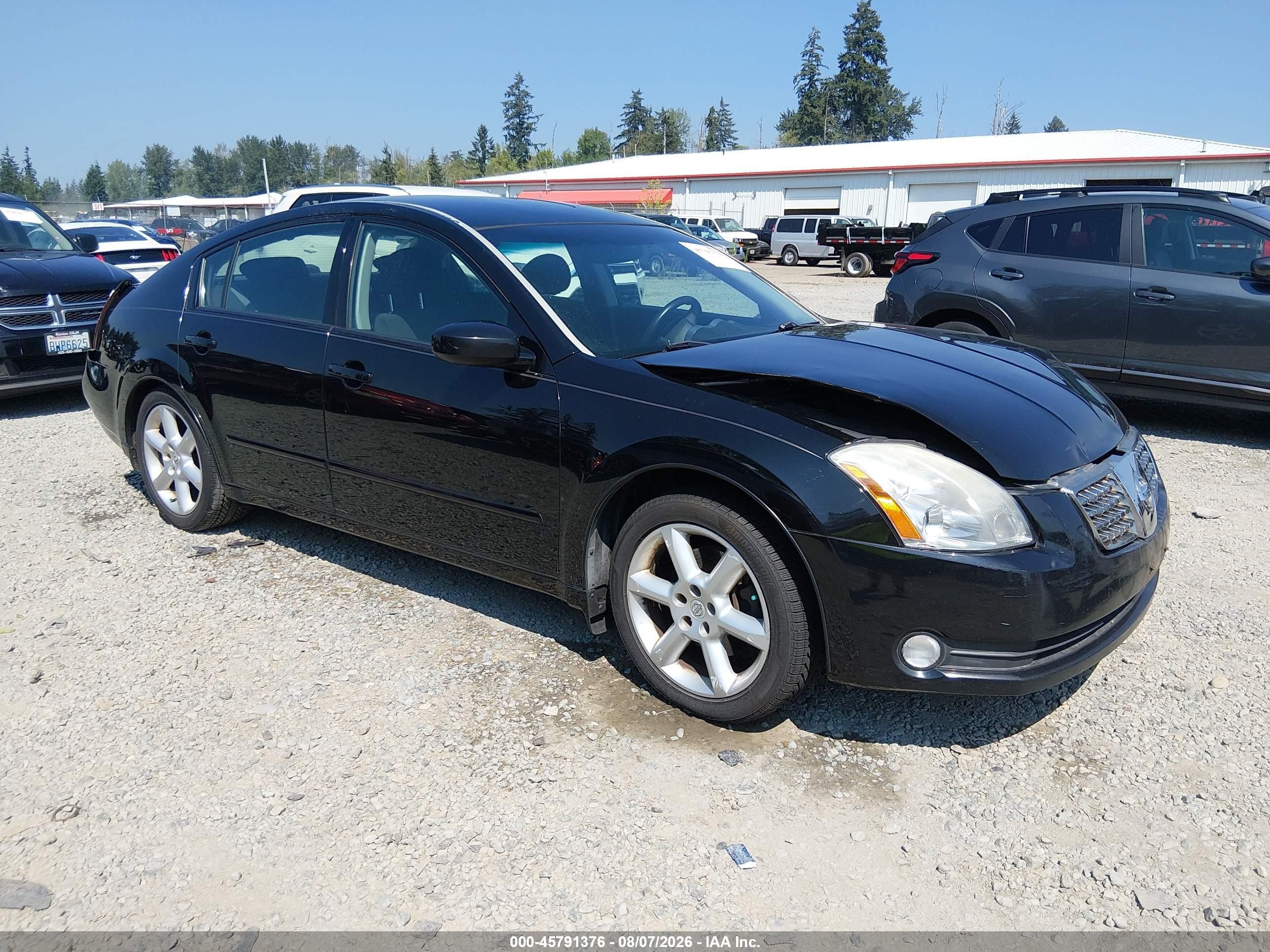 2005 Nissan Maxima 3.5 Se Черный vin: 1N4BA41E45C824179