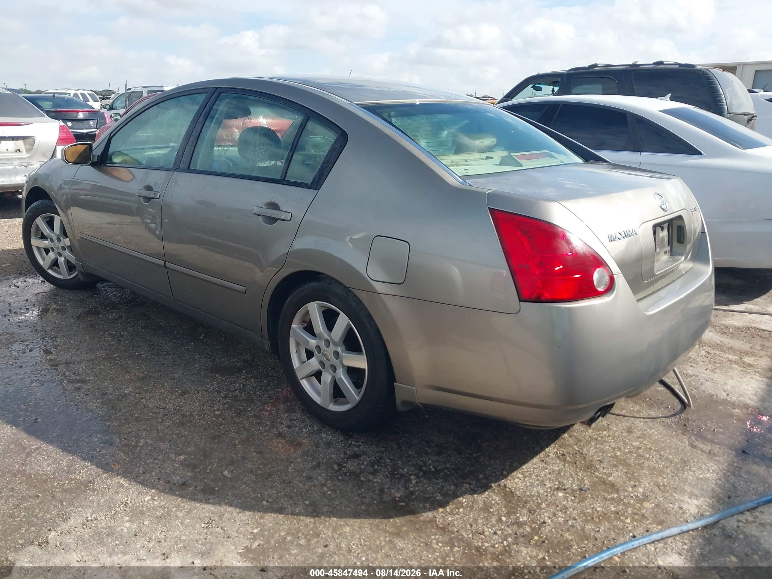 2005 Nissan Maxima 3.5 Sl Brown vin: 1N4BA41E45C829849