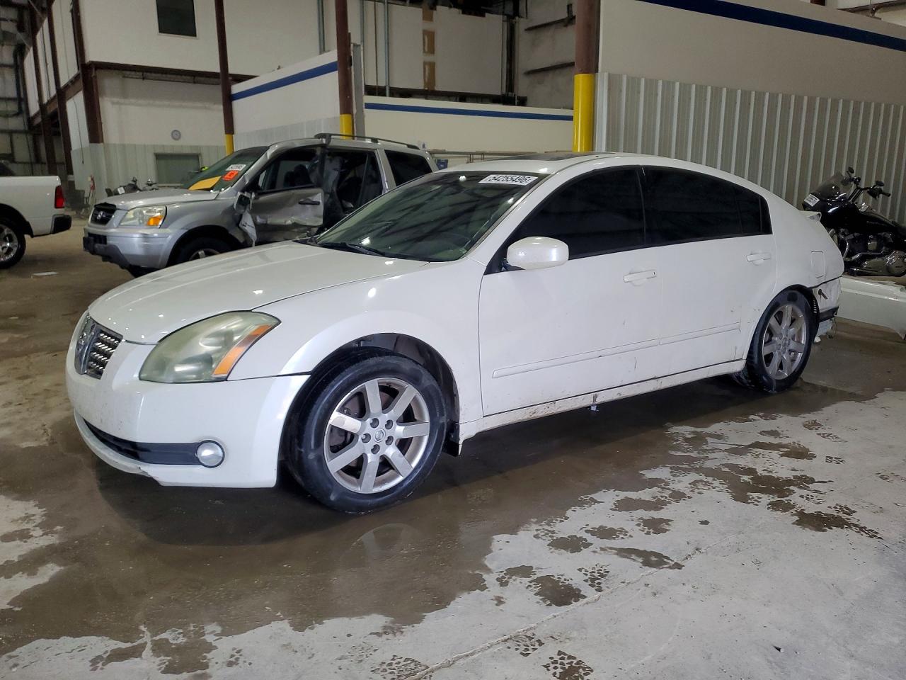 2006 Nissan Maxima 3.5 Se White vin: 1N4BA41E46C831649