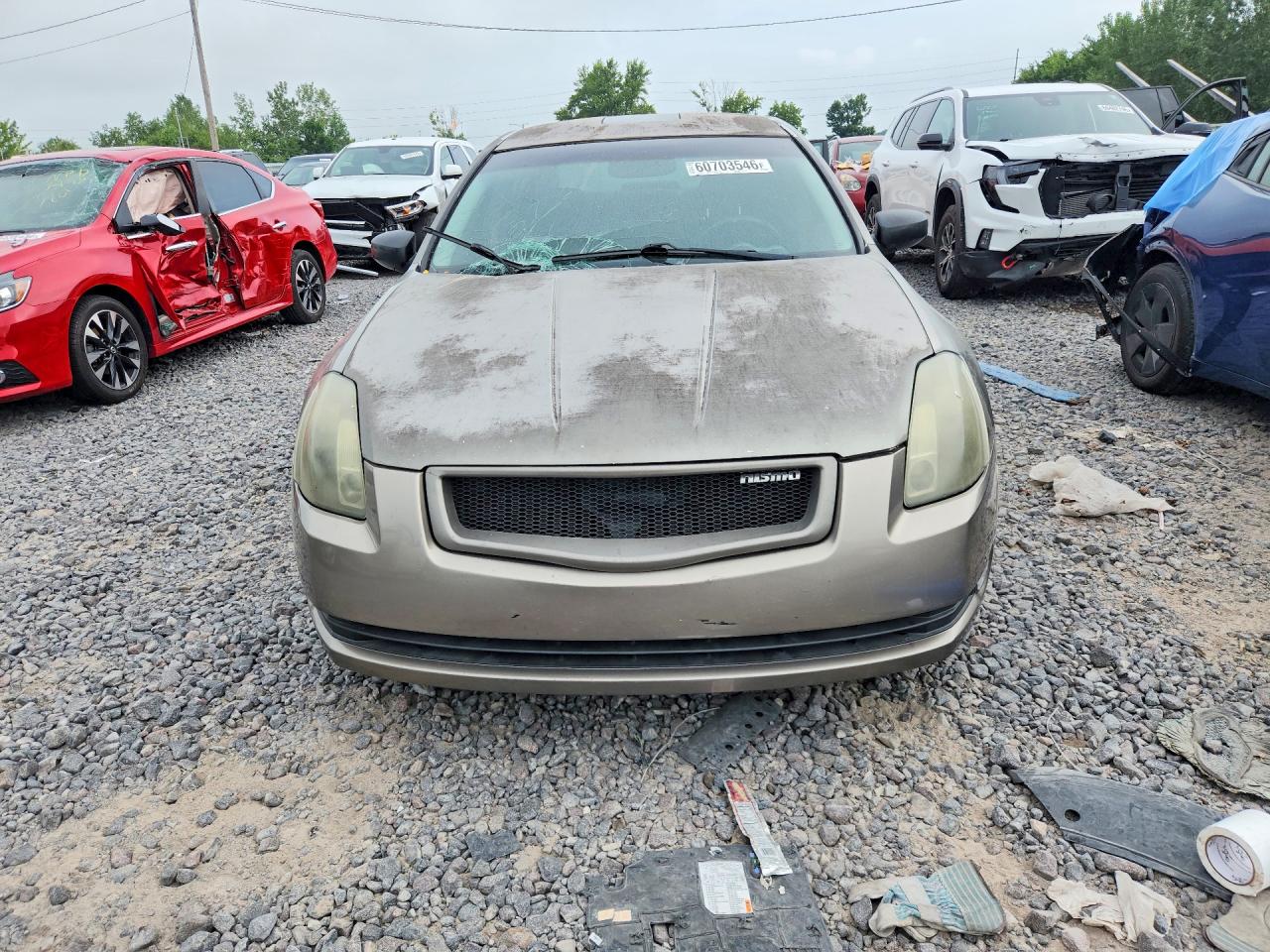2006 Nissan Maxima 3.5 Se Gold vin: 1N4BA41E46C860018