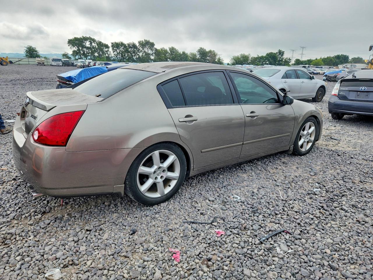 2006 Nissan Maxima 3.5 Se Gold vin: 1N4BA41E46C860018