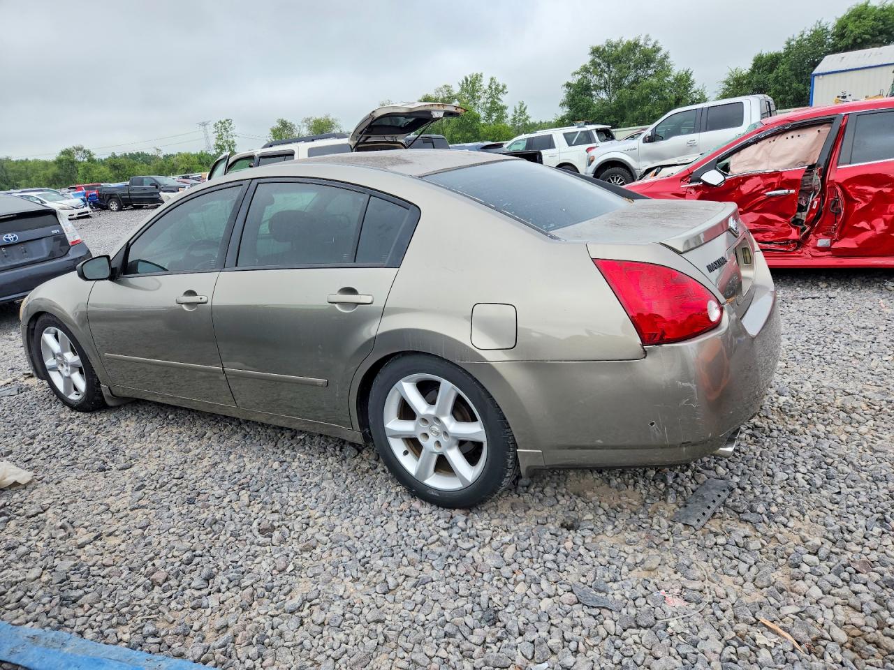 2006 Nissan Maxima 3.5 Se Gold vin: 1N4BA41E46C860018