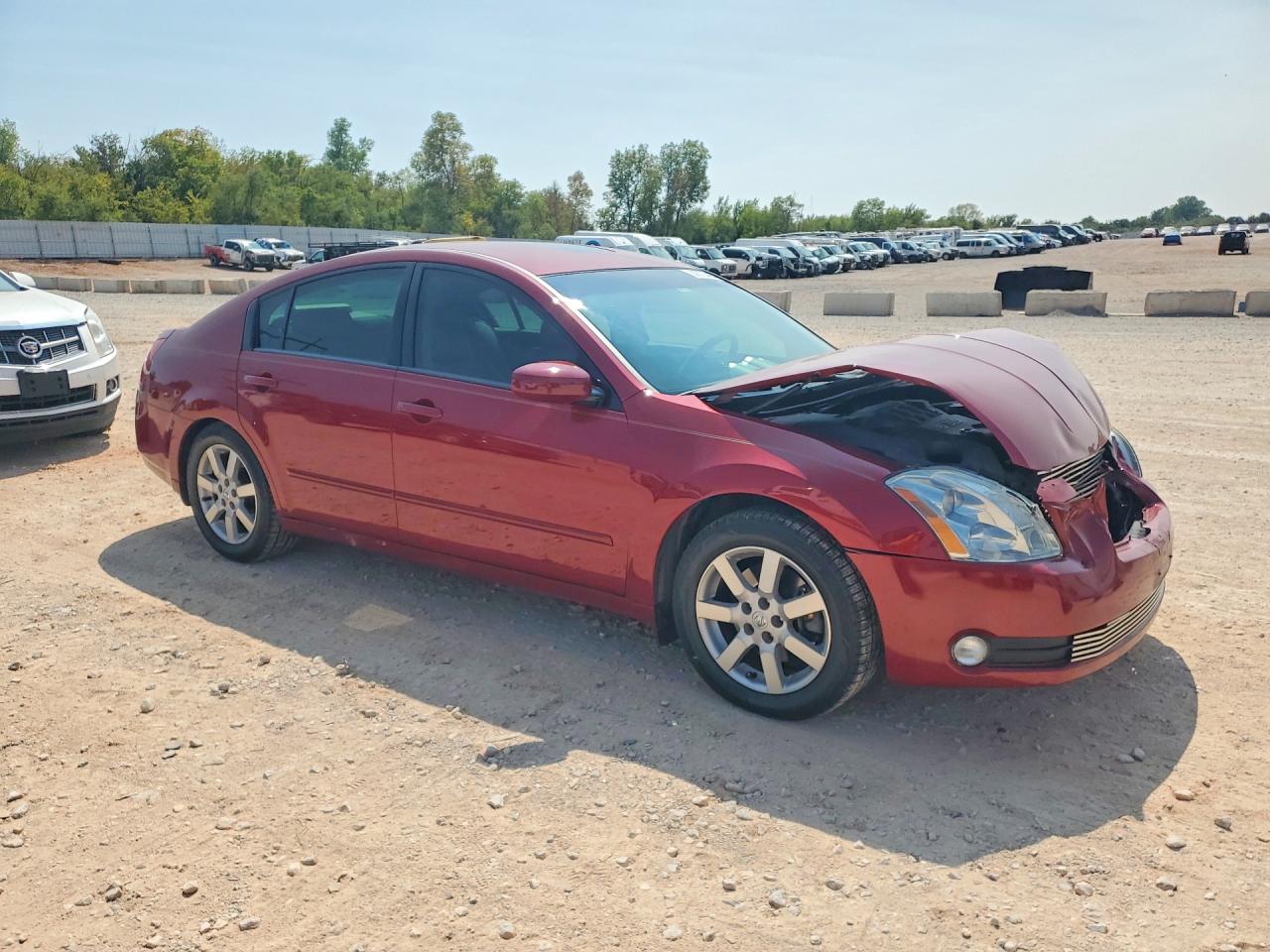 2006 Nissan Maxima 3.5 Se Red vin: 1N4BA41E46C864876