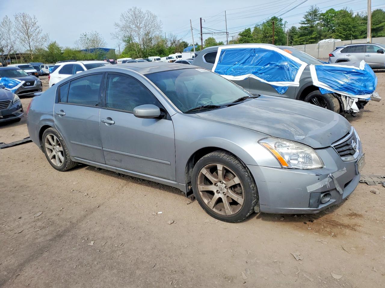 2007 Nissan Maxima 3.5 Se Gray vin: 1N4BA41E47C811242
