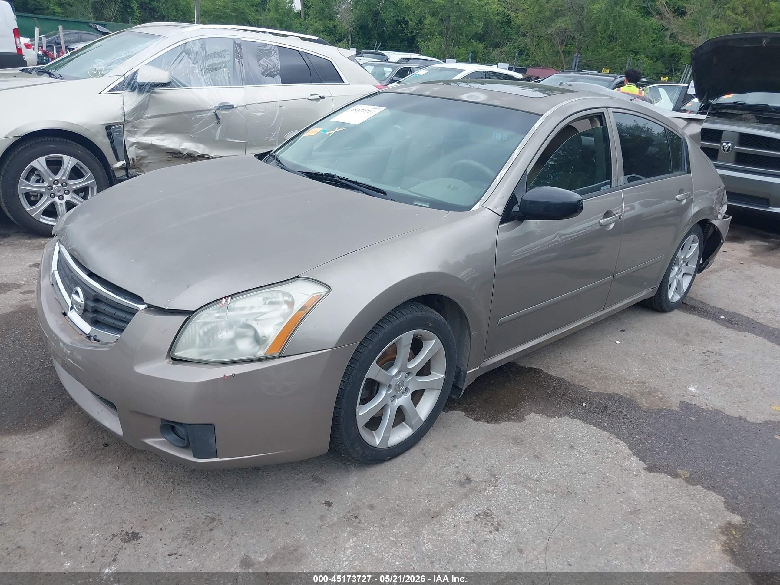 2007 Nissan Maxima 3.5 Se Gray vin: 1N4BA41E47C856018