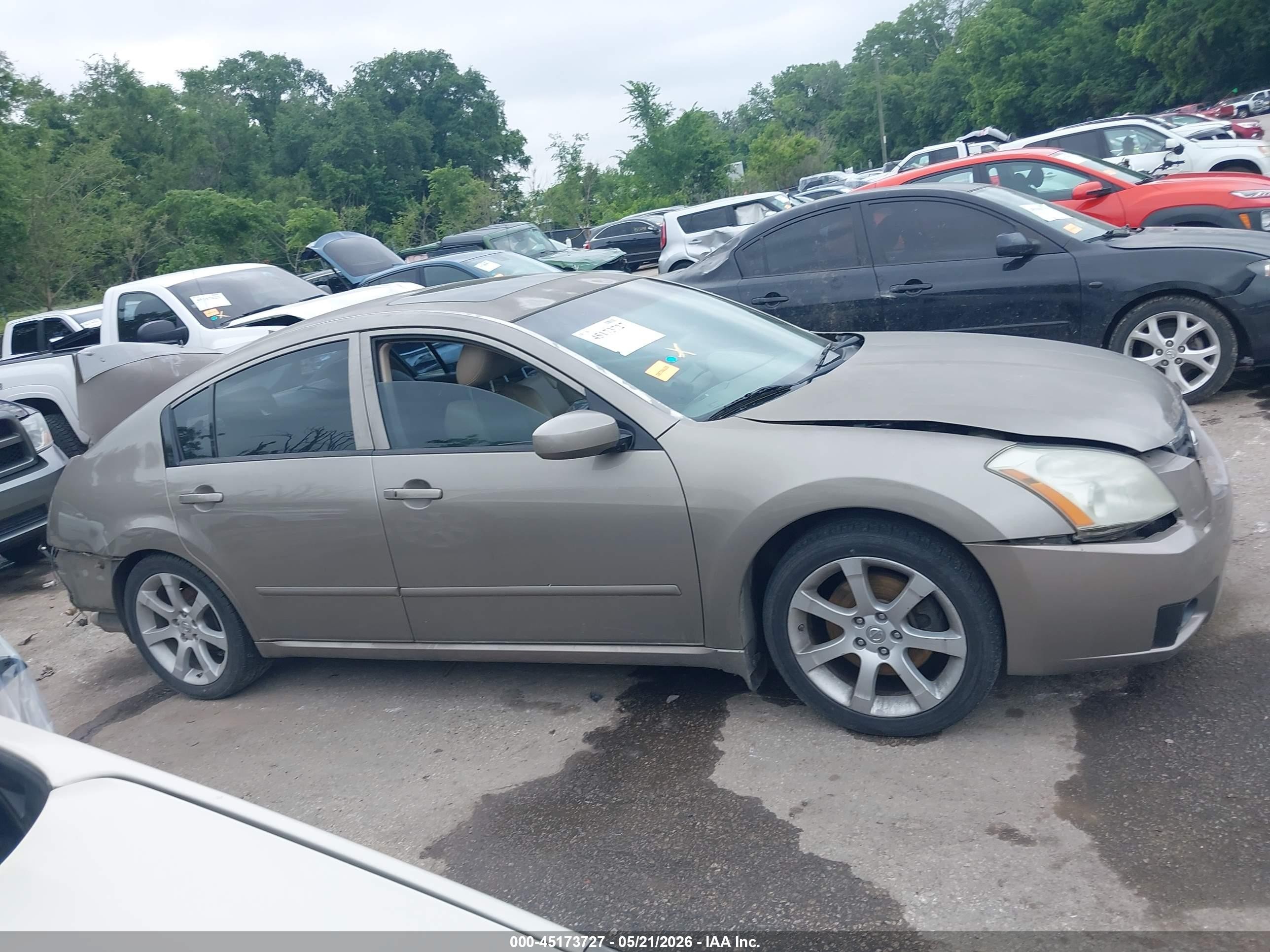 2007 Nissan Maxima 3.5 Se Gray vin: 1N4BA41E47C856018