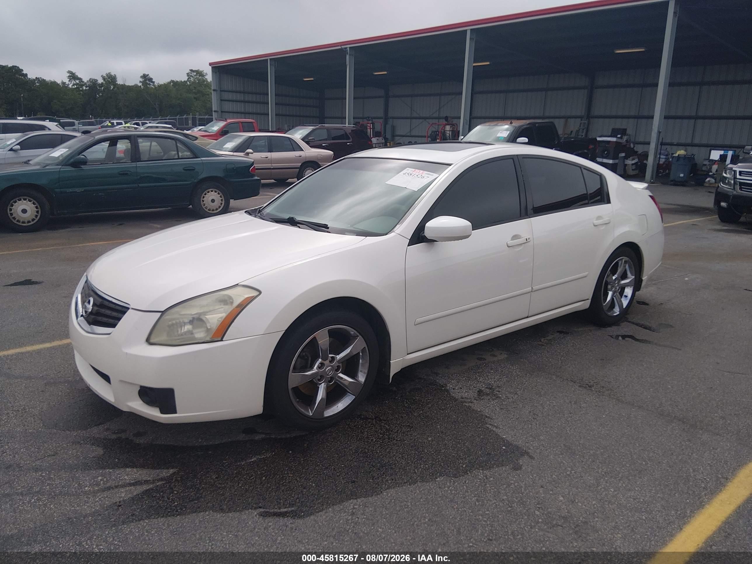 2008 Nissan Maxima 3.5 Se White vin: 1N4BA41E48C839060