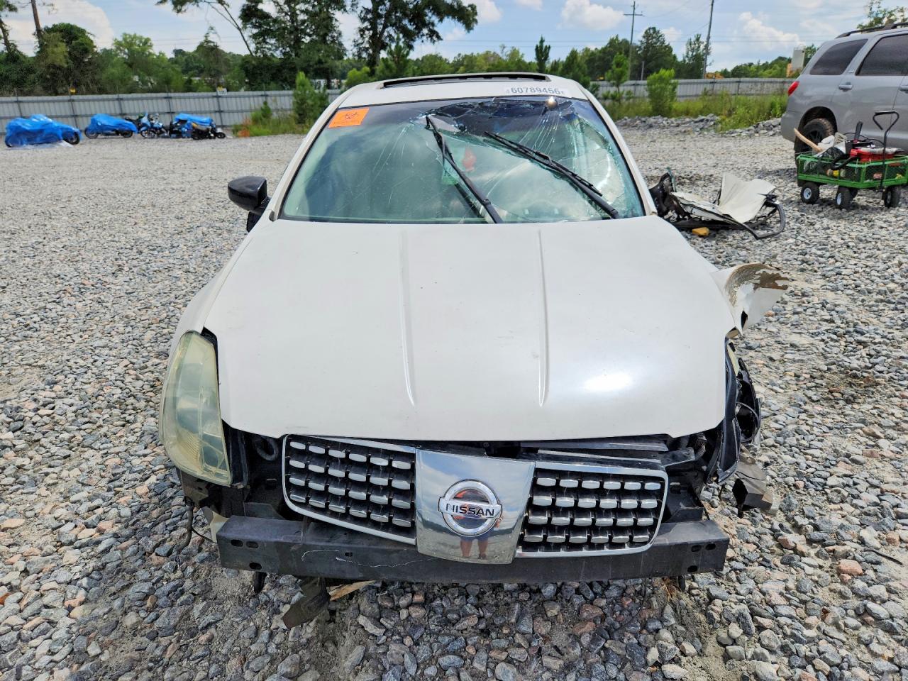 2004 Nissan Maxima 3.5 Se White vin: 1N4BA41E54C883286