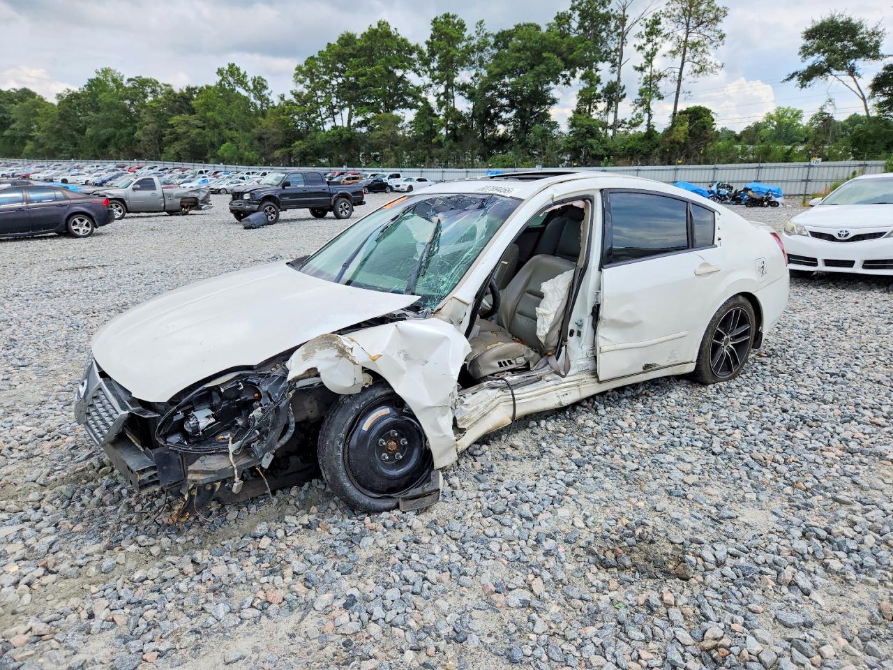 2004 Nissan Maxima 3.5 Se White vin: 1N4BA41E54C883286