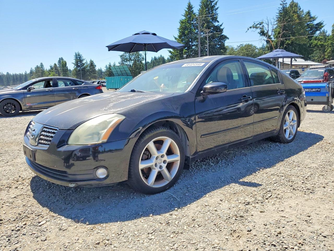 2004 Nissan Maxima 3.5 Se Black vin: 1N4BA41E54C928632