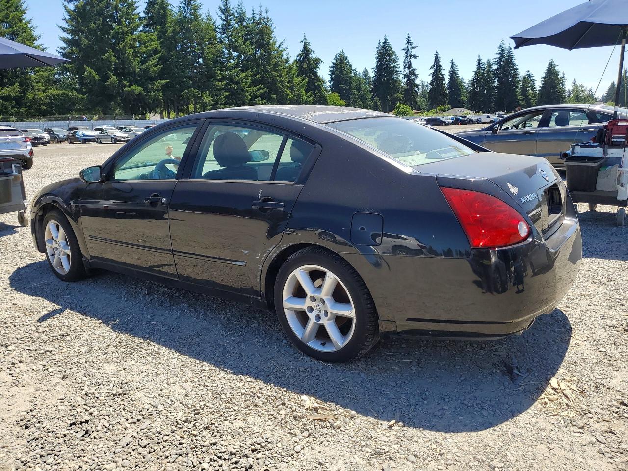 2004 Nissan Maxima 3.5 Se Black vin: 1N4BA41E54C928632