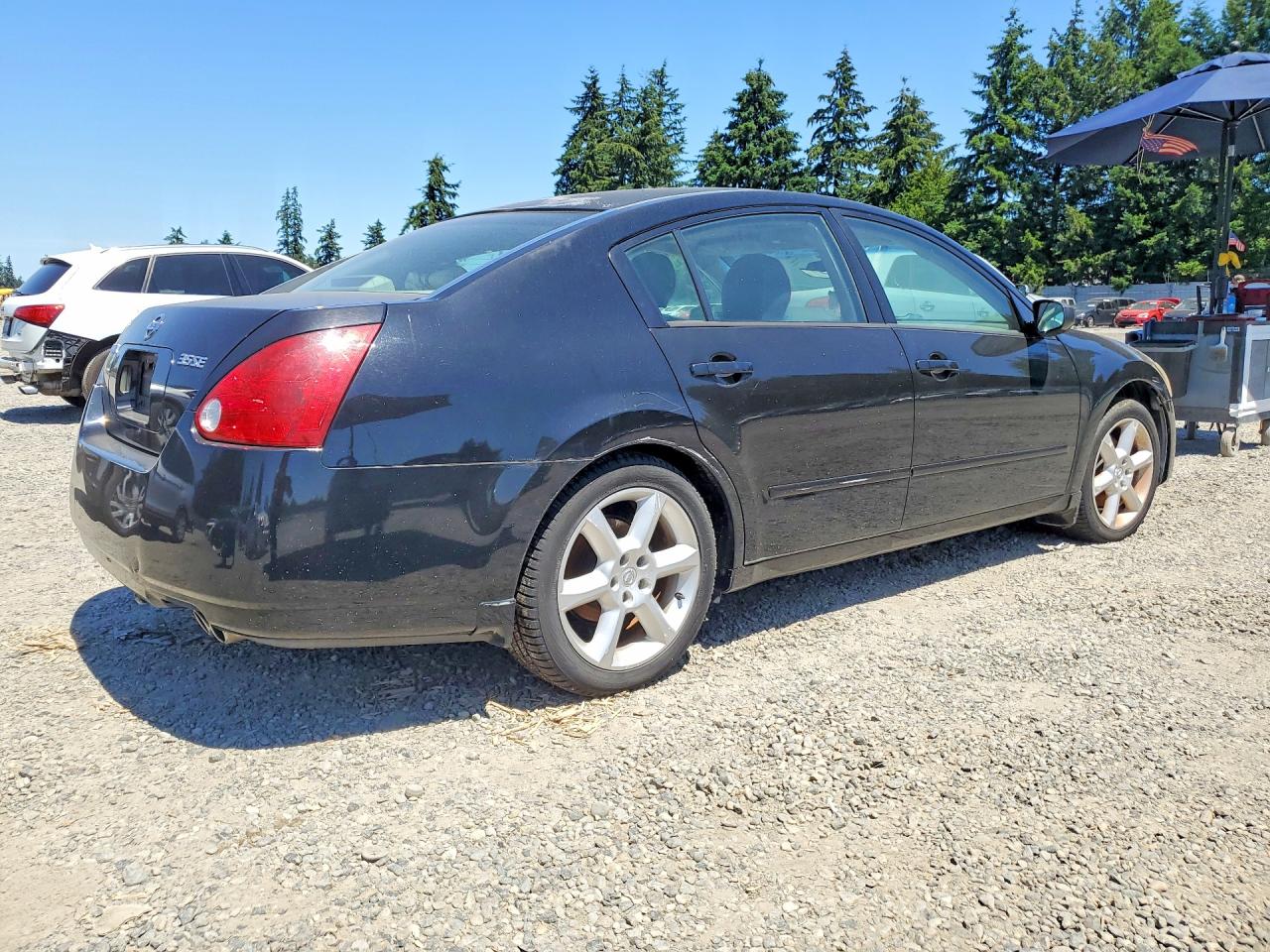 2004 Nissan Maxima 3.5 Se Black vin: 1N4BA41E54C928632