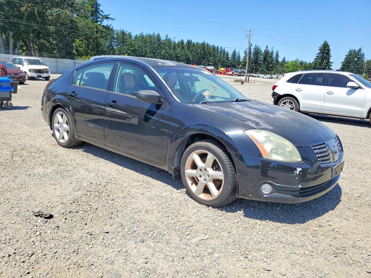 2004 Nissan Maxima 3.5 Se Black vin: 1N4BA41E54C928632