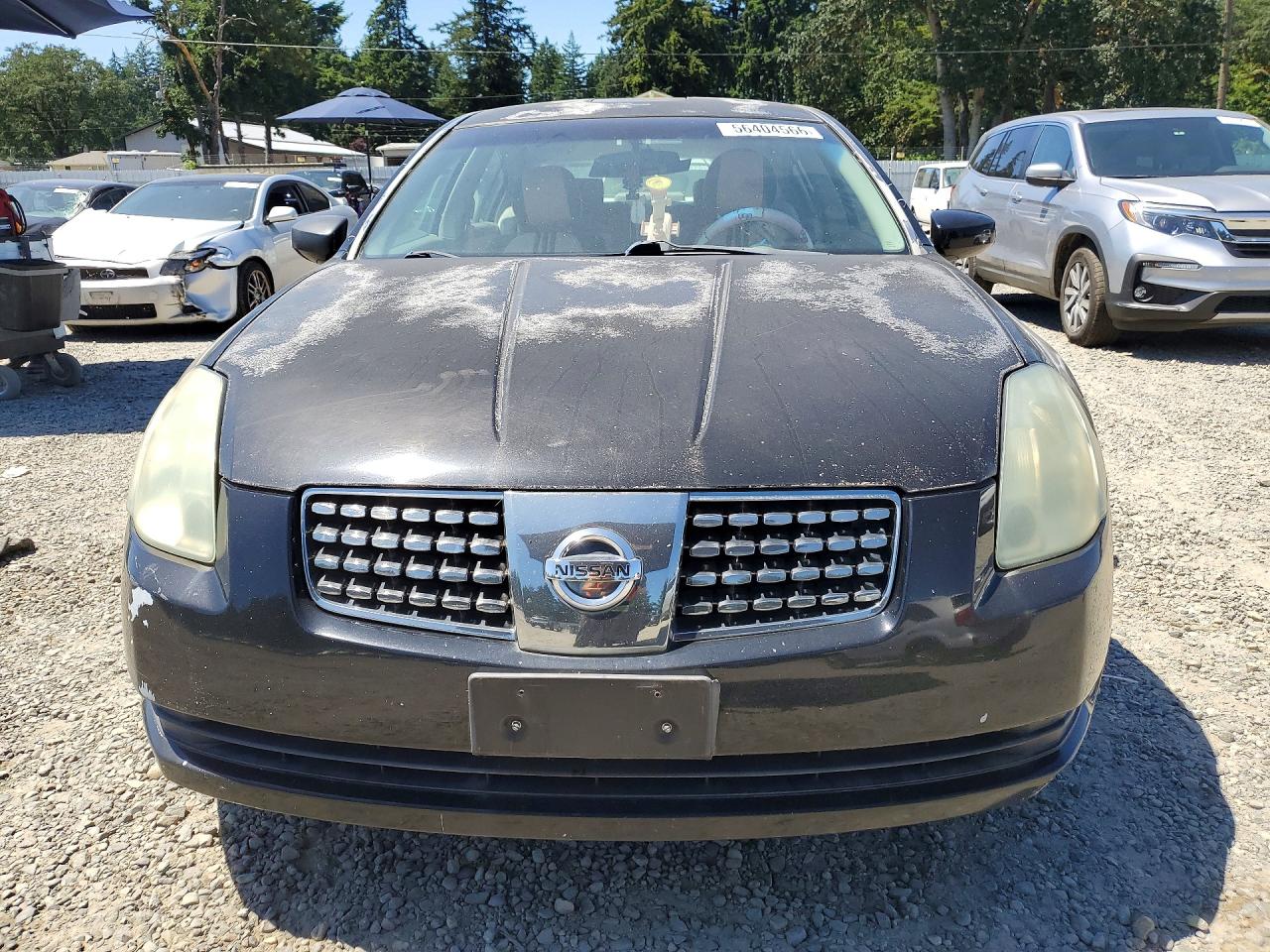 2004 Nissan Maxima 3.5 Se Black vin: 1N4BA41E54C928632