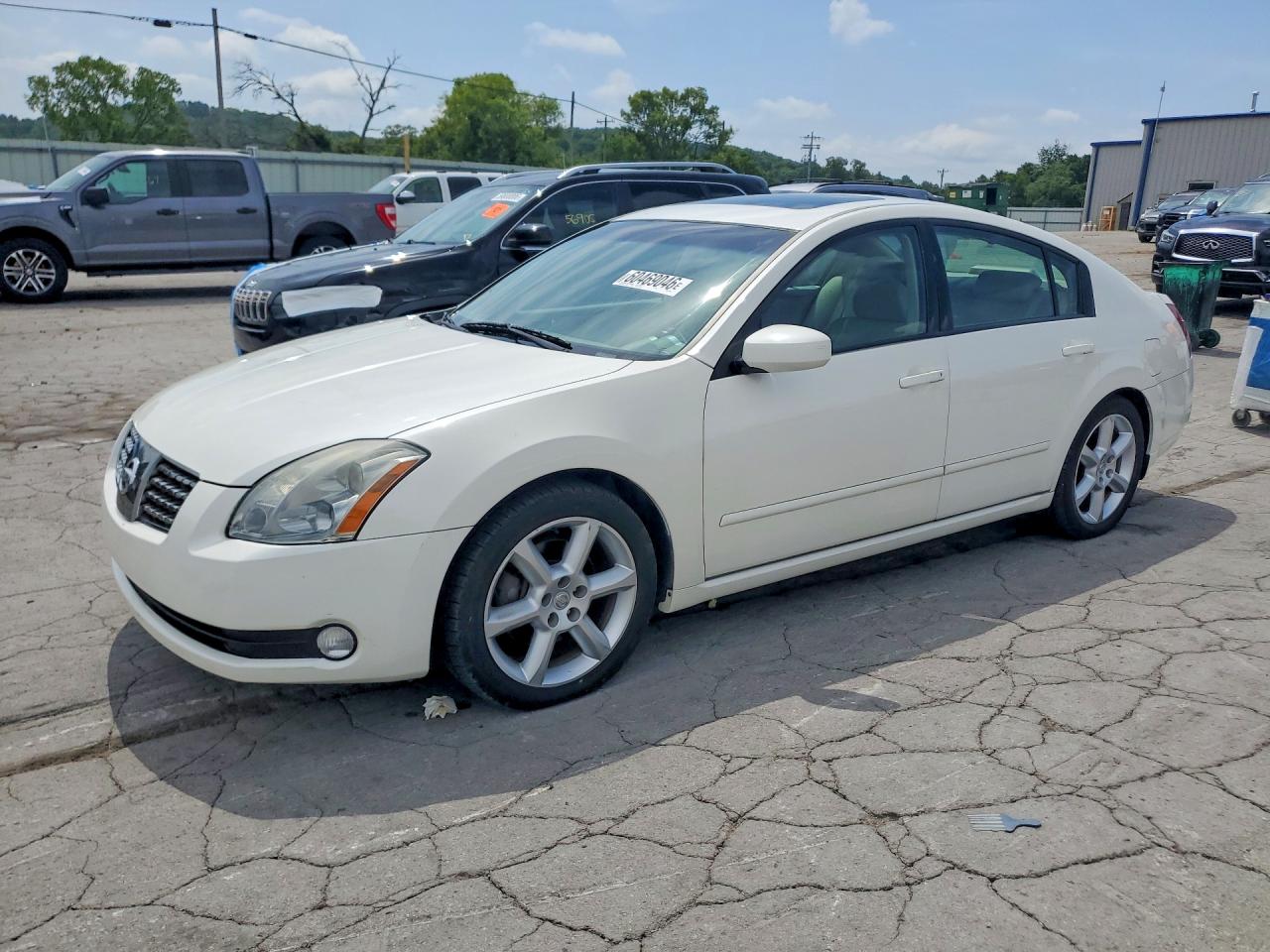 2005 Nissan Maxima Se/sl Белый vin: 1N4BA41E55C836311
